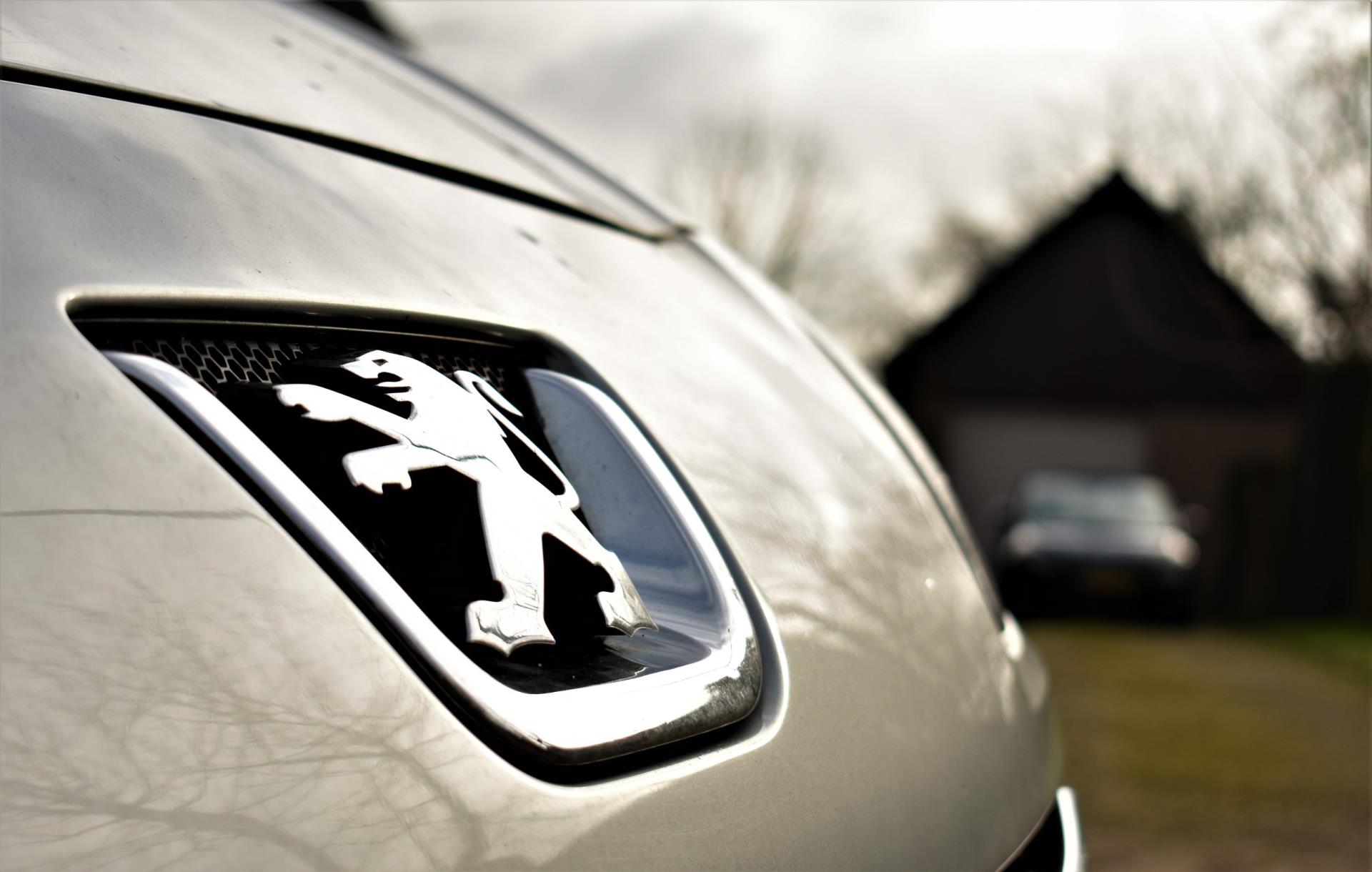 peugeot-1007-image2.jpg