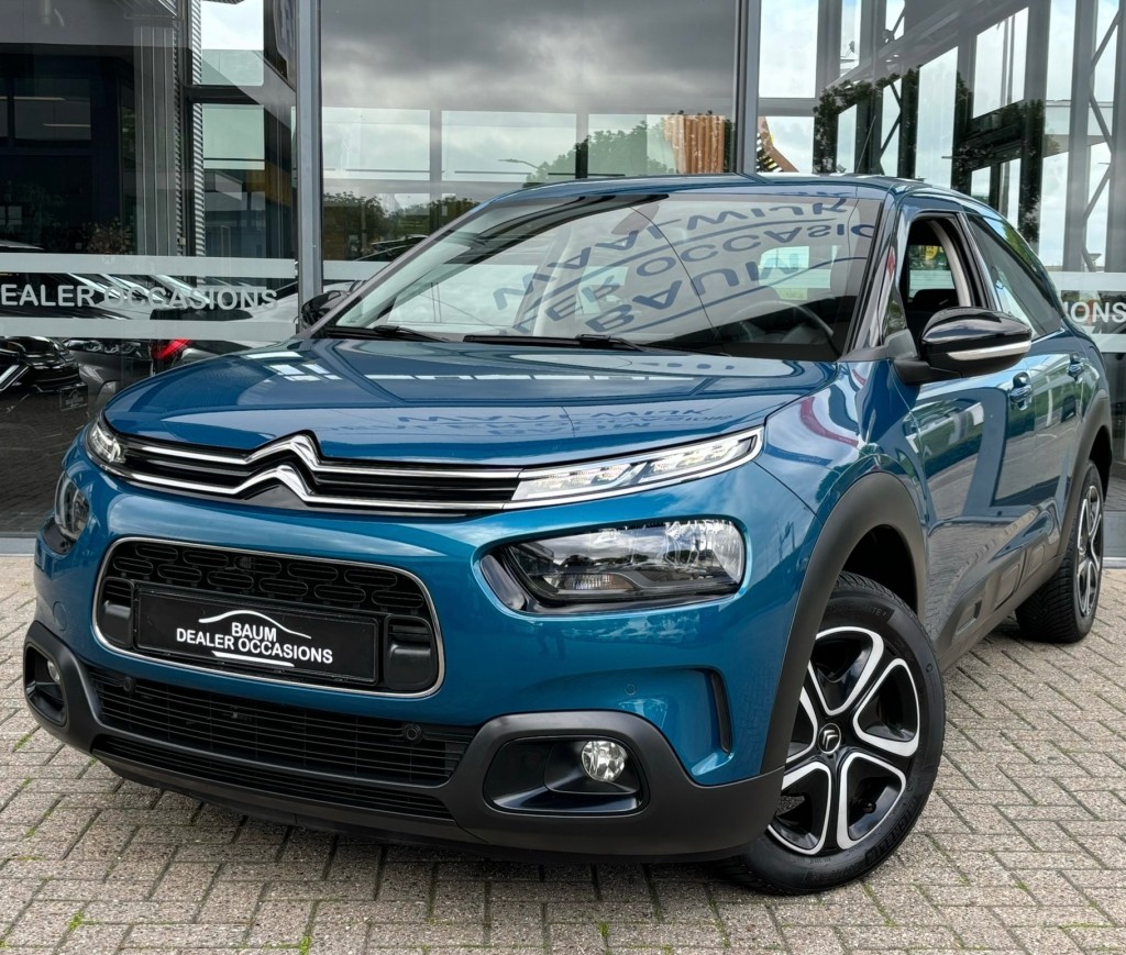 158090396/citroen-c4-cactus-image1.jpg