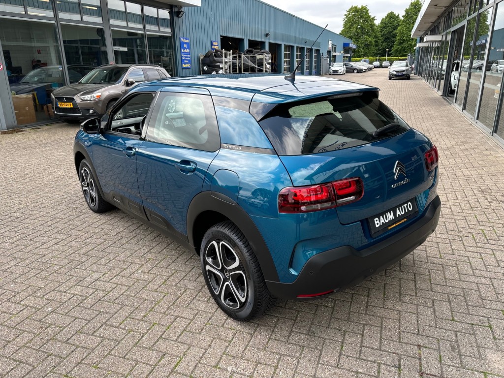 citroen-c4-cactus-image10.jpg