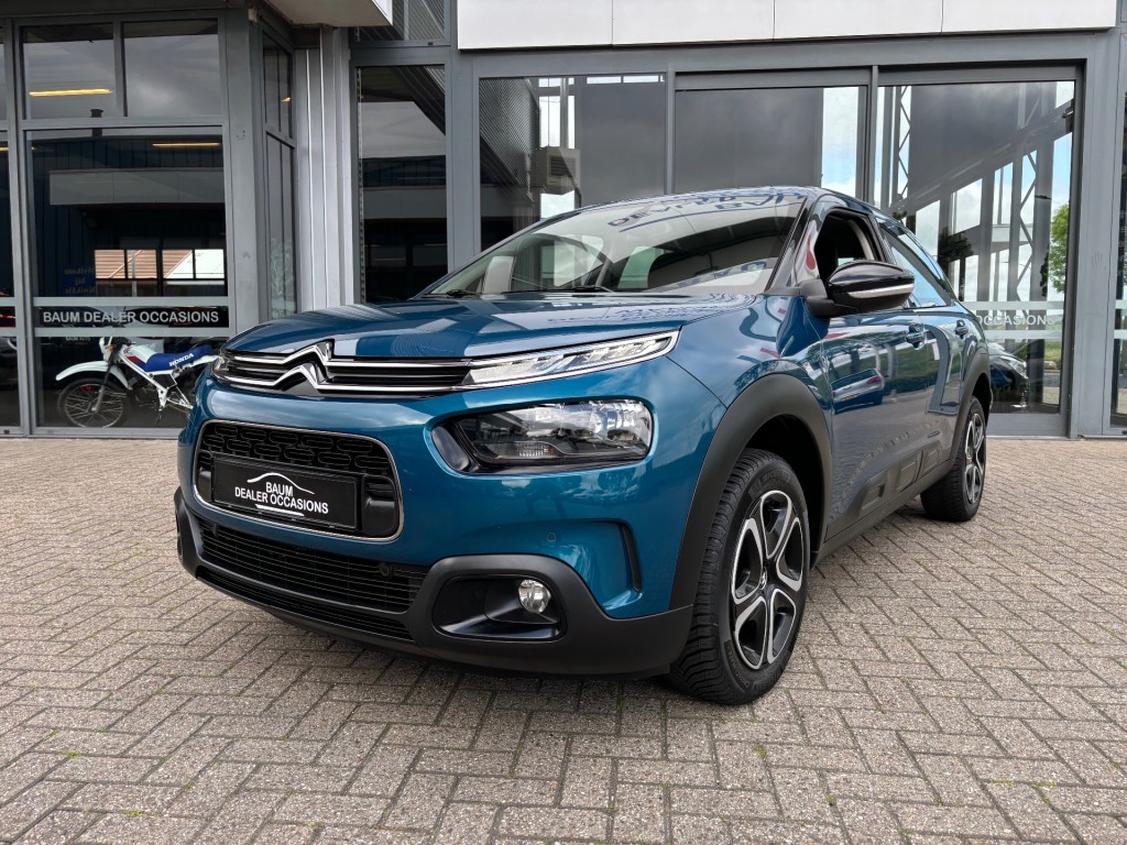 citroen-c4-cactus-image3.jpg