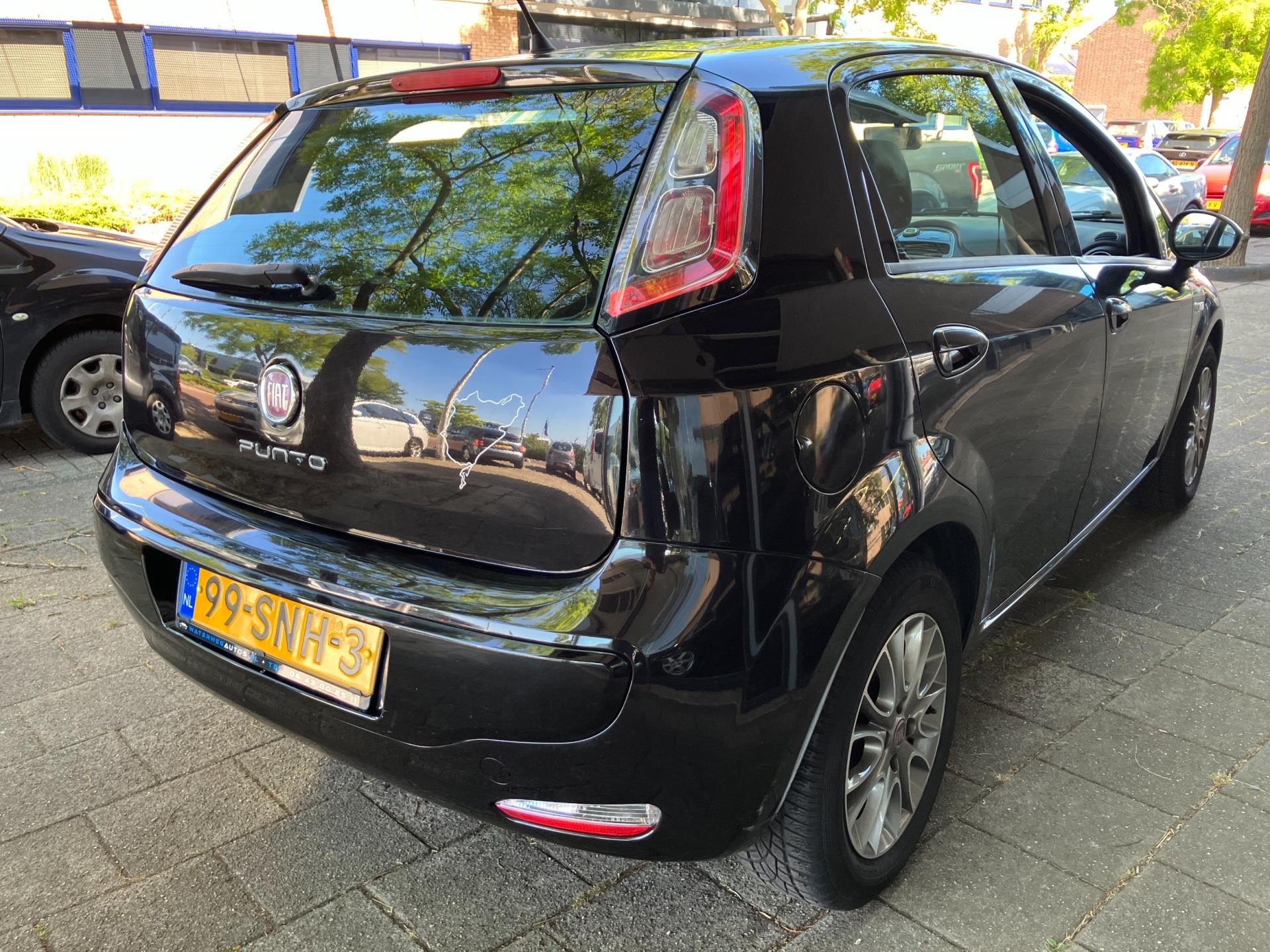 fiat-punto-evo-image4.jpg