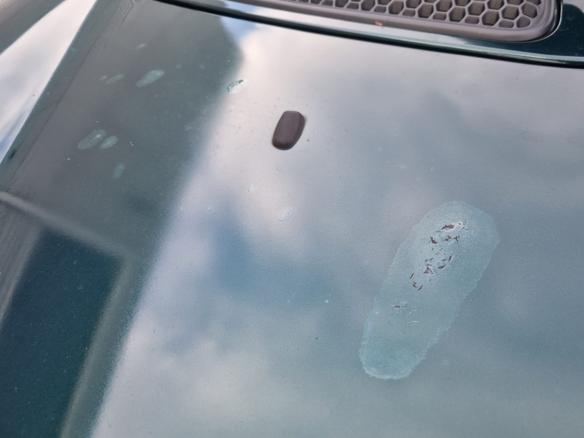 mini-mini-image8.jpg