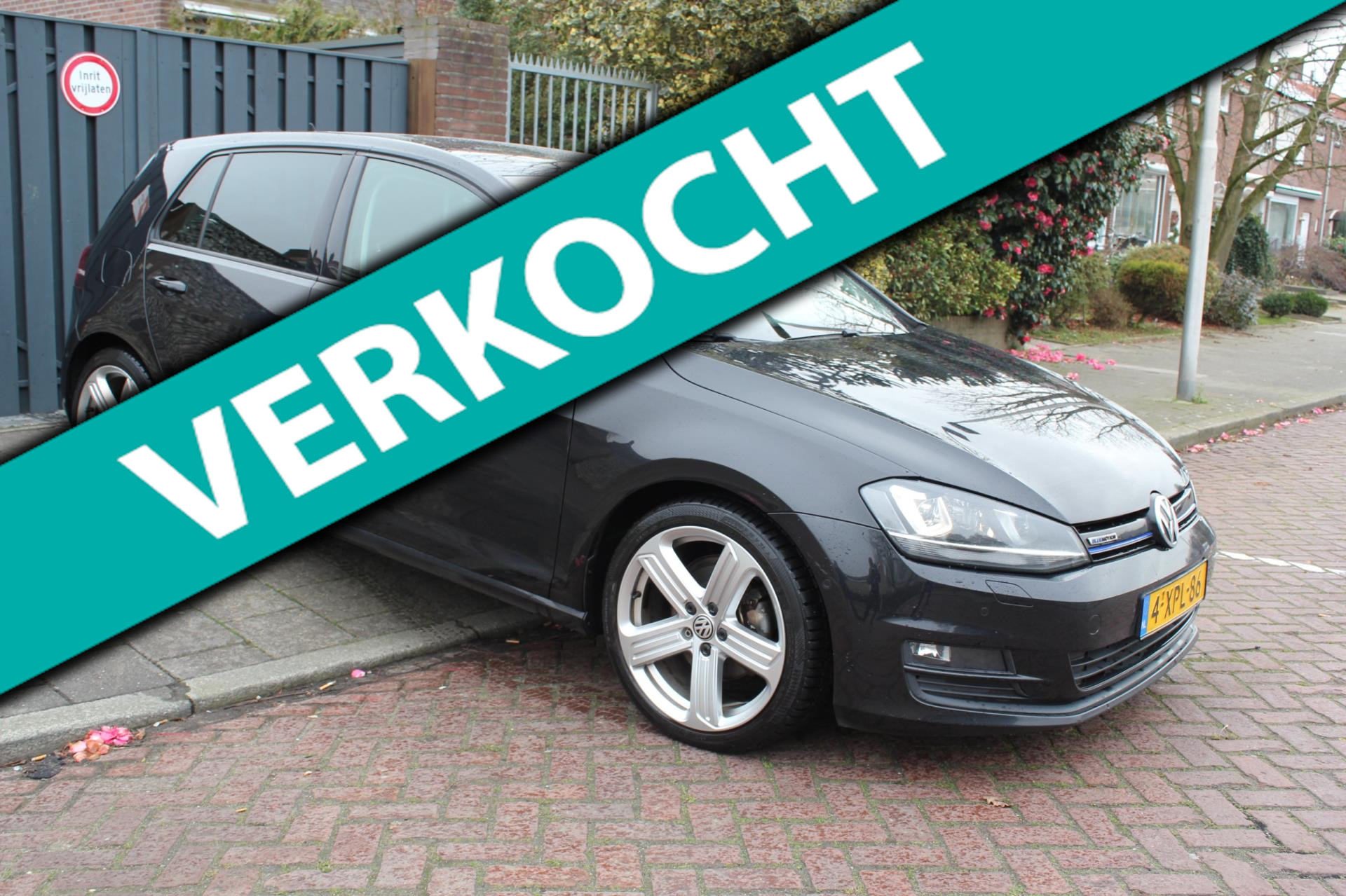 449773654/volkswagen-golf-image1.jpg