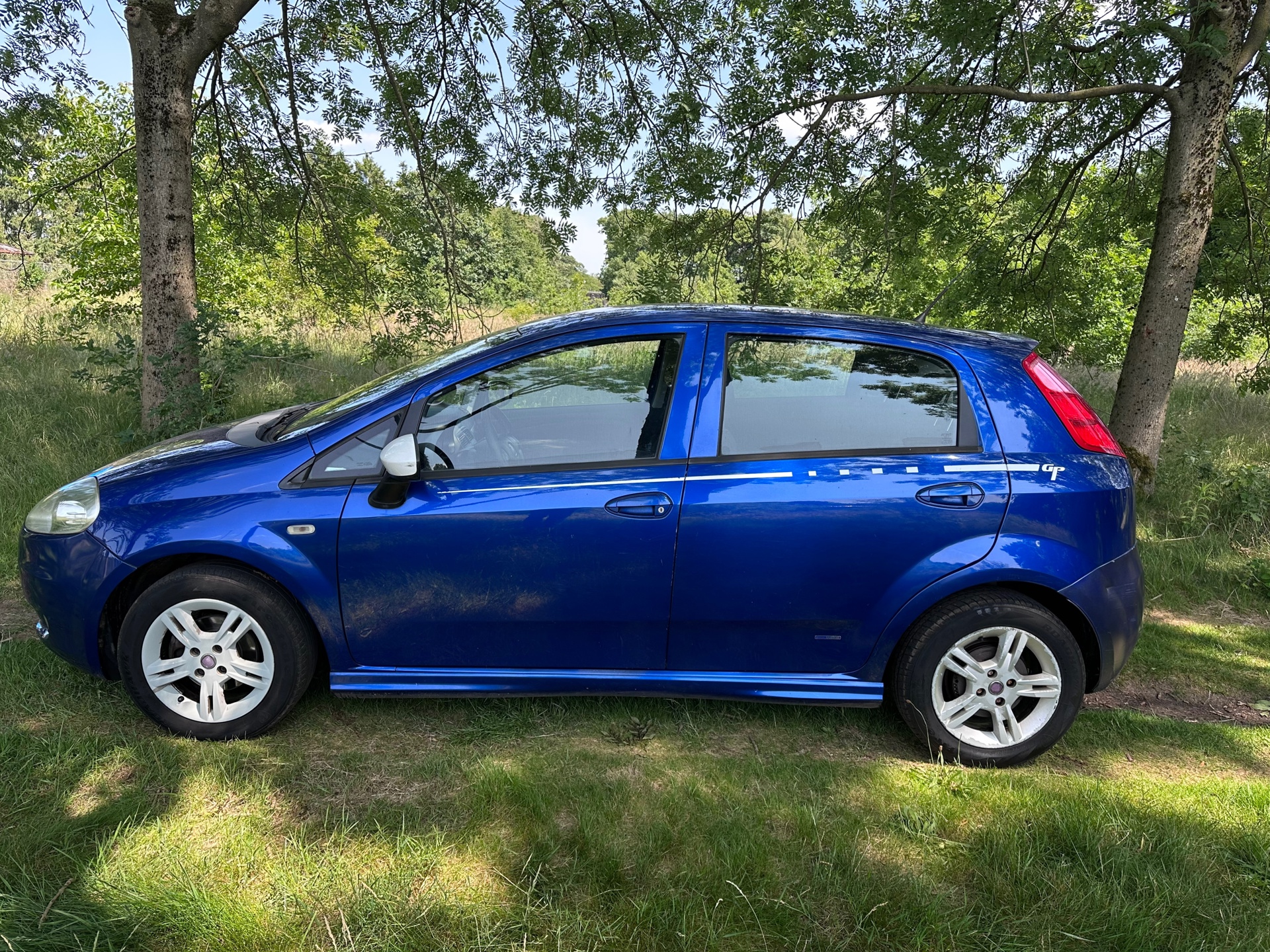 fiat-grande-punto-image2.jpg