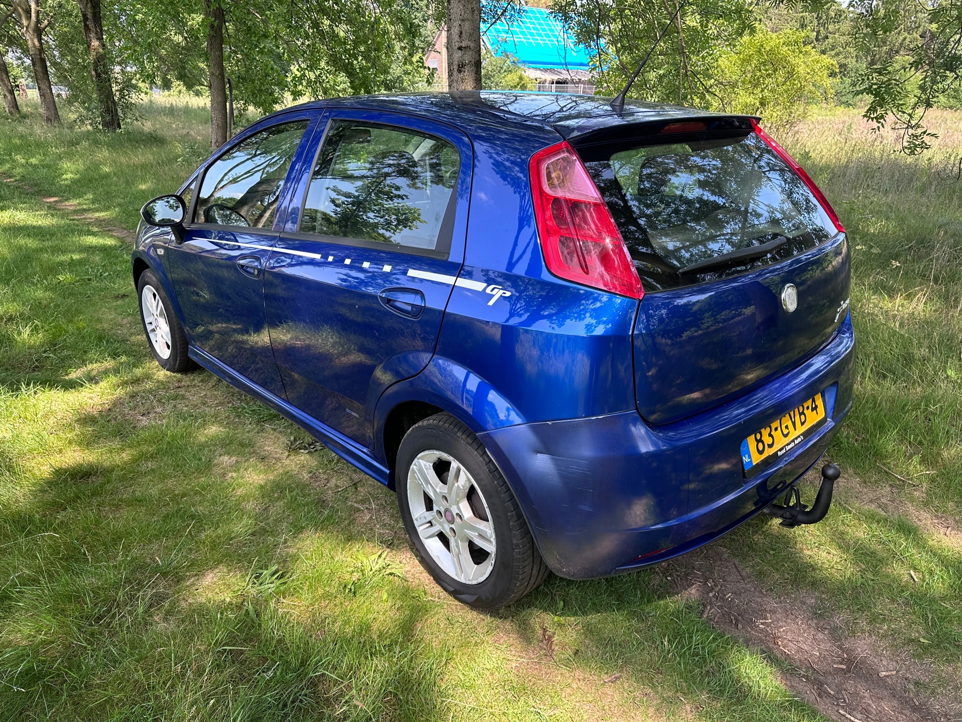 fiat-grande-punto-image3.jpg