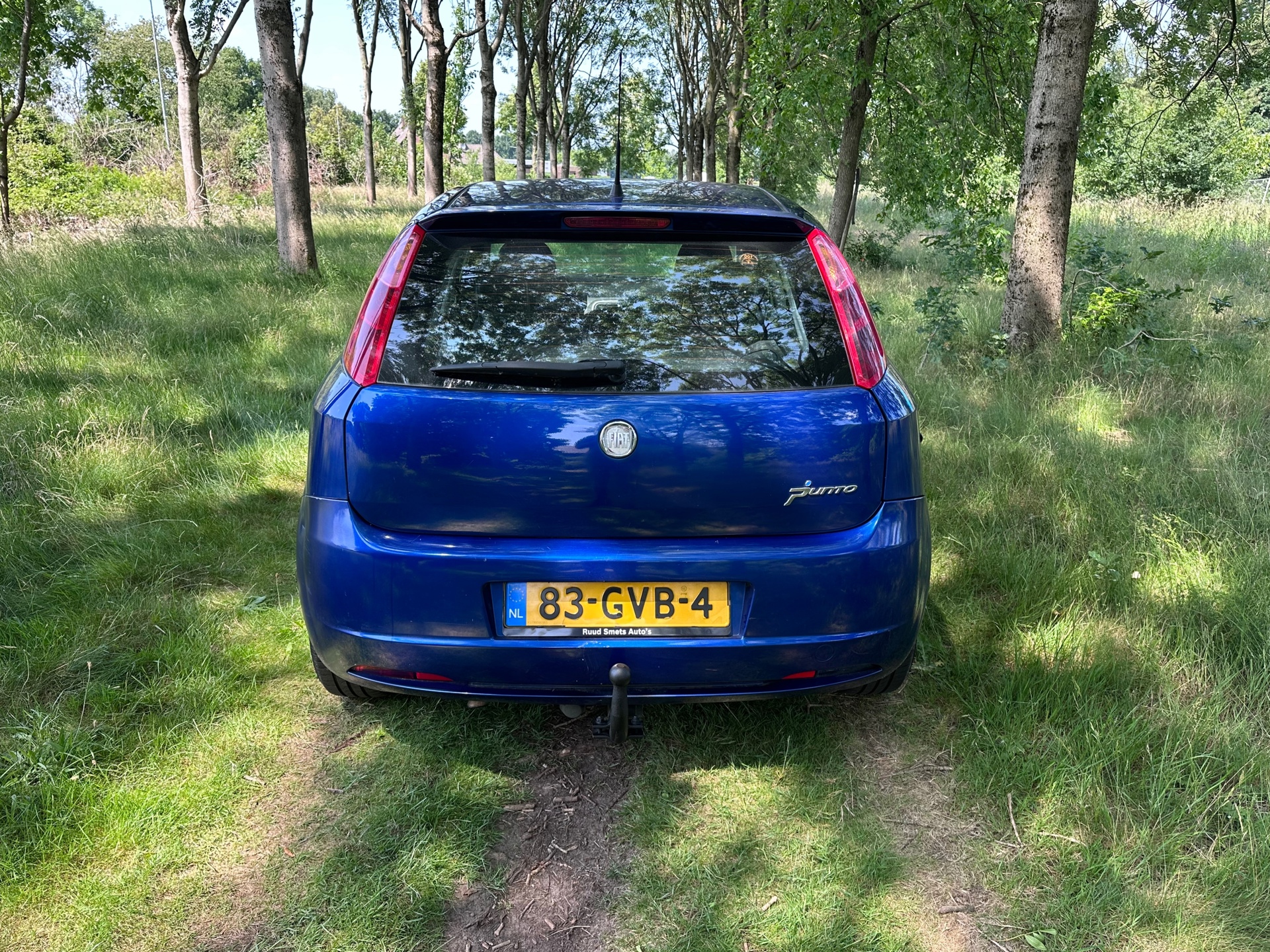 fiat-grande-punto-image4.jpg