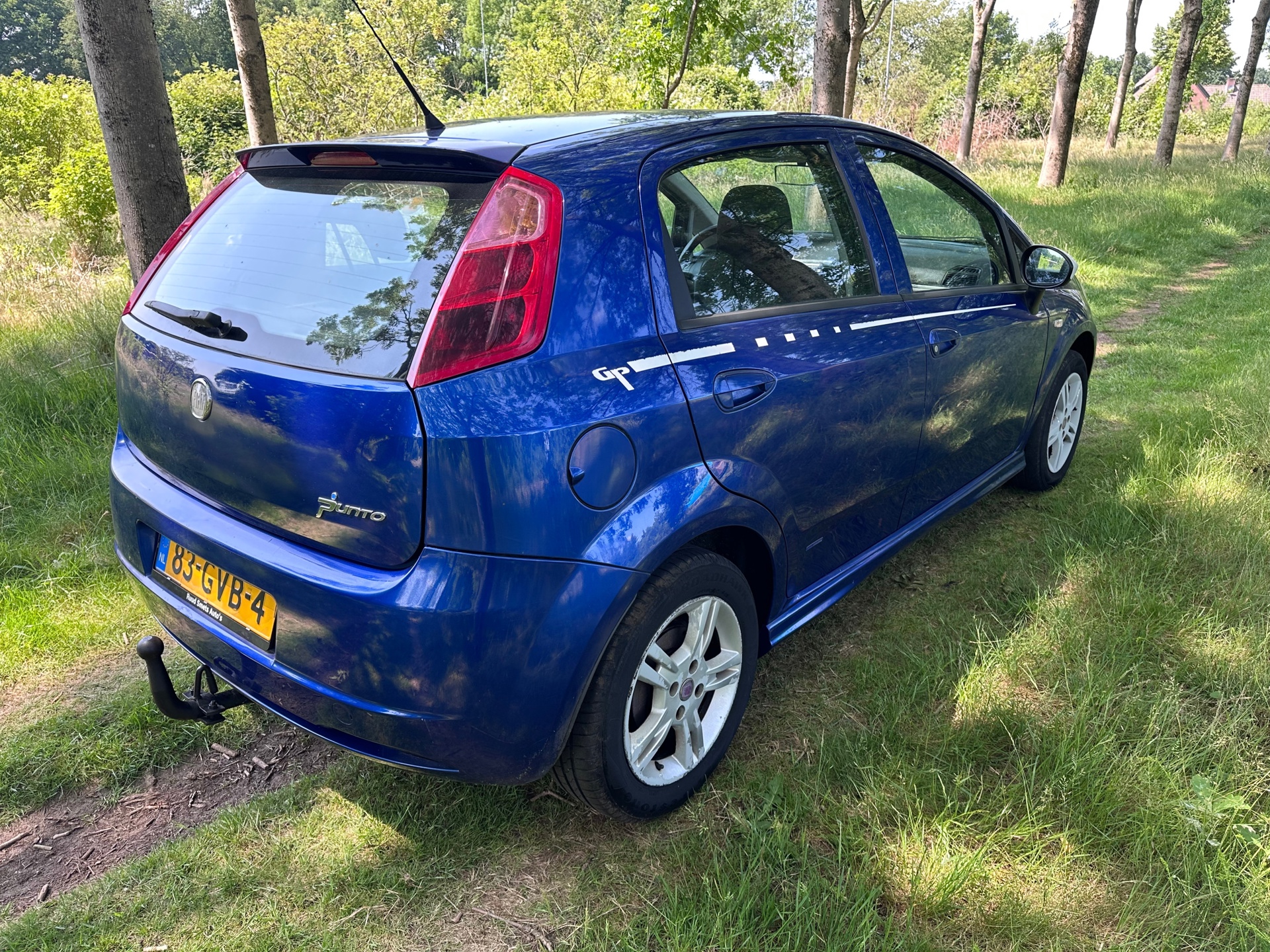fiat-grande-punto-image5.jpg