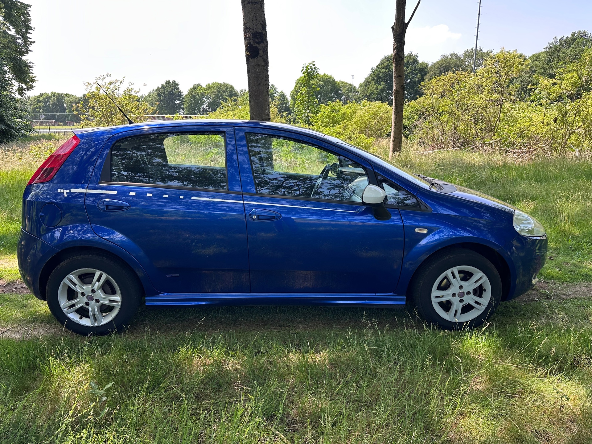 fiat-grande-punto-image6.jpg