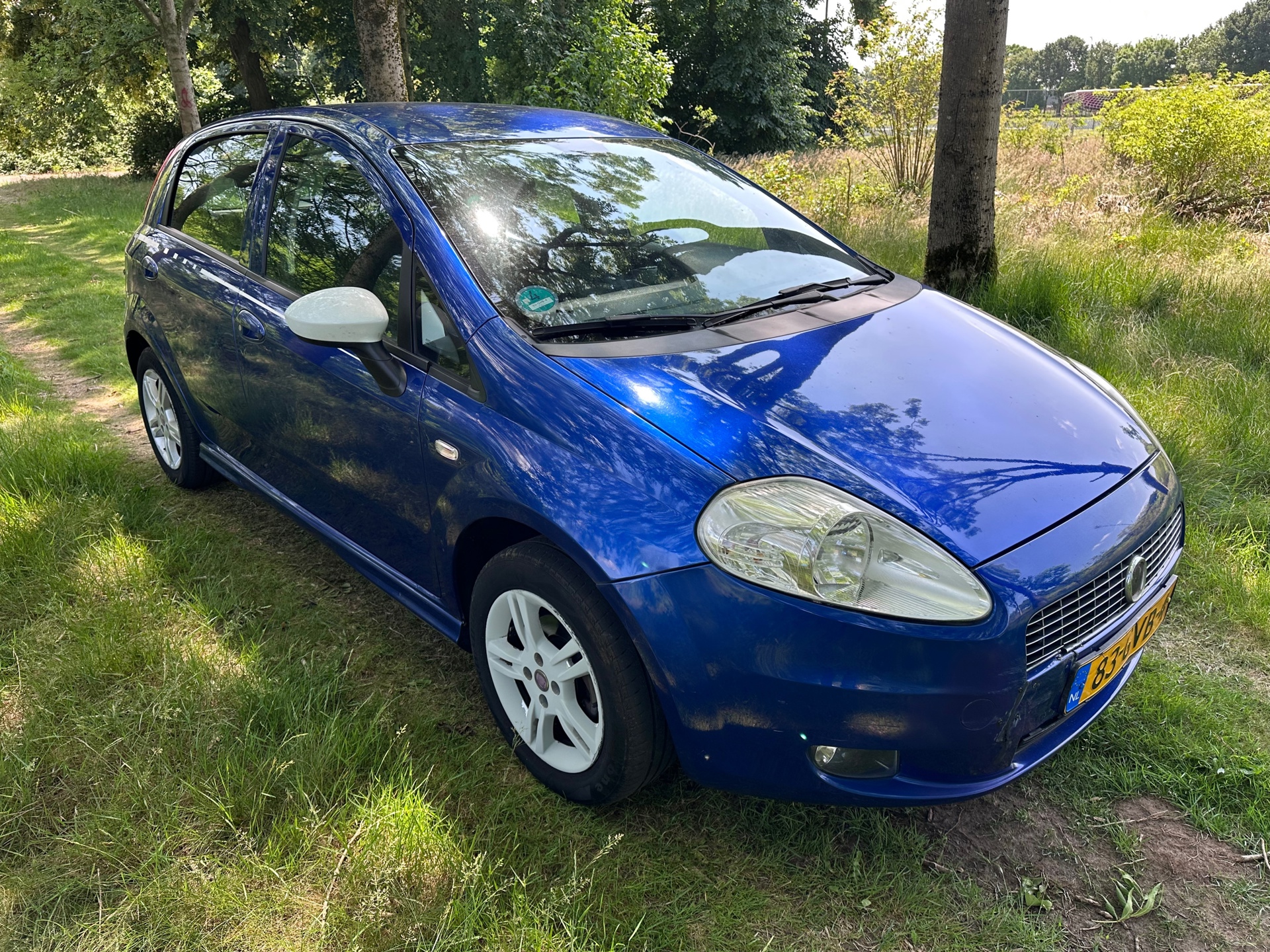 fiat-grande-punto-image7.jpg