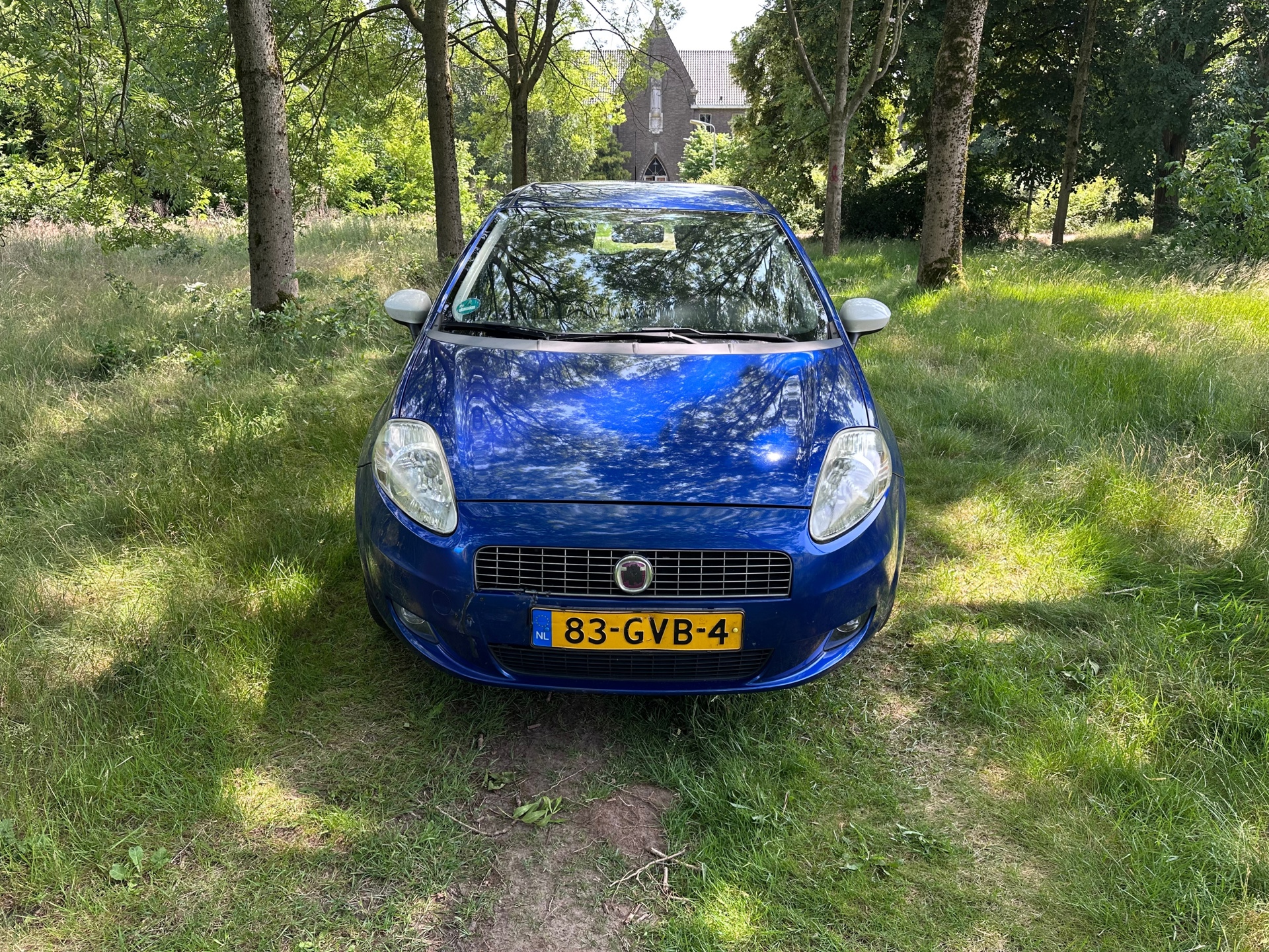 fiat-grande-punto-image8.jpg