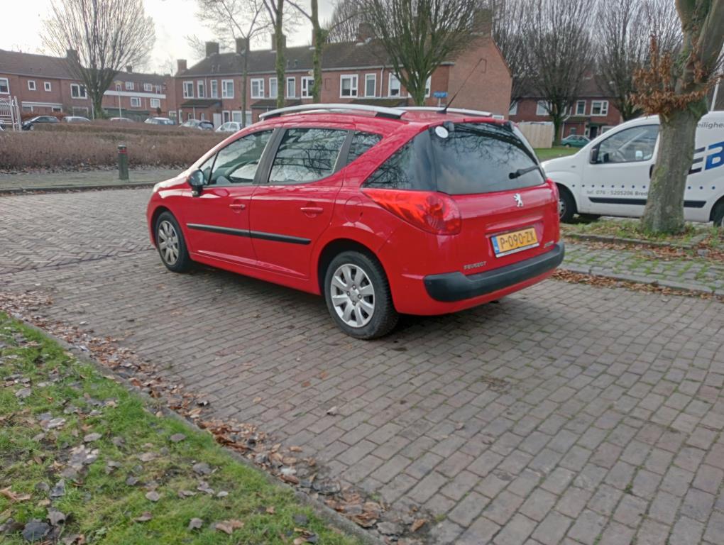 peugeot-207-image6.jpg