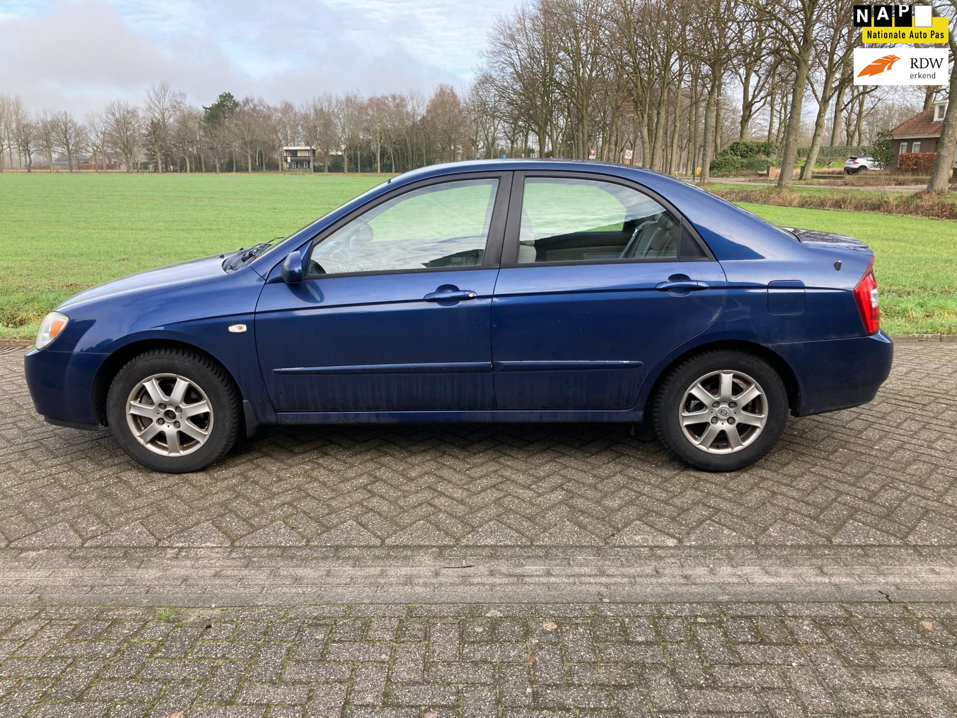 552355649/kia-cerato-image1.jpg