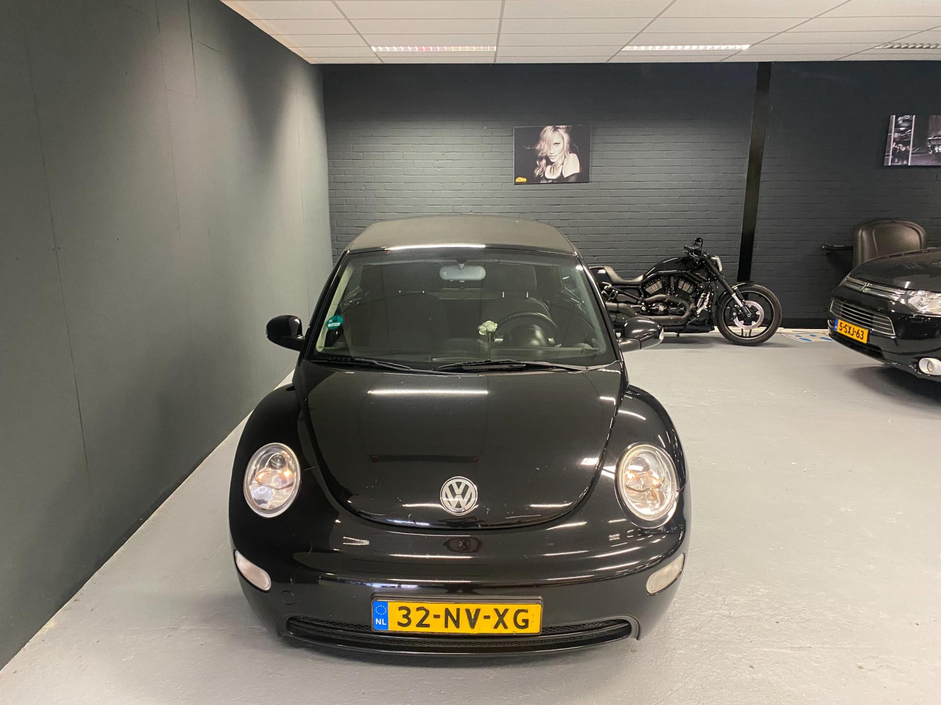 volkswagen-new-beetle-image6.jpg