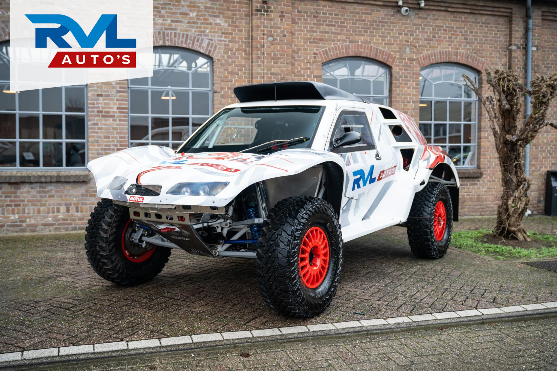 629947684/herrador-buggy-image1.jpg