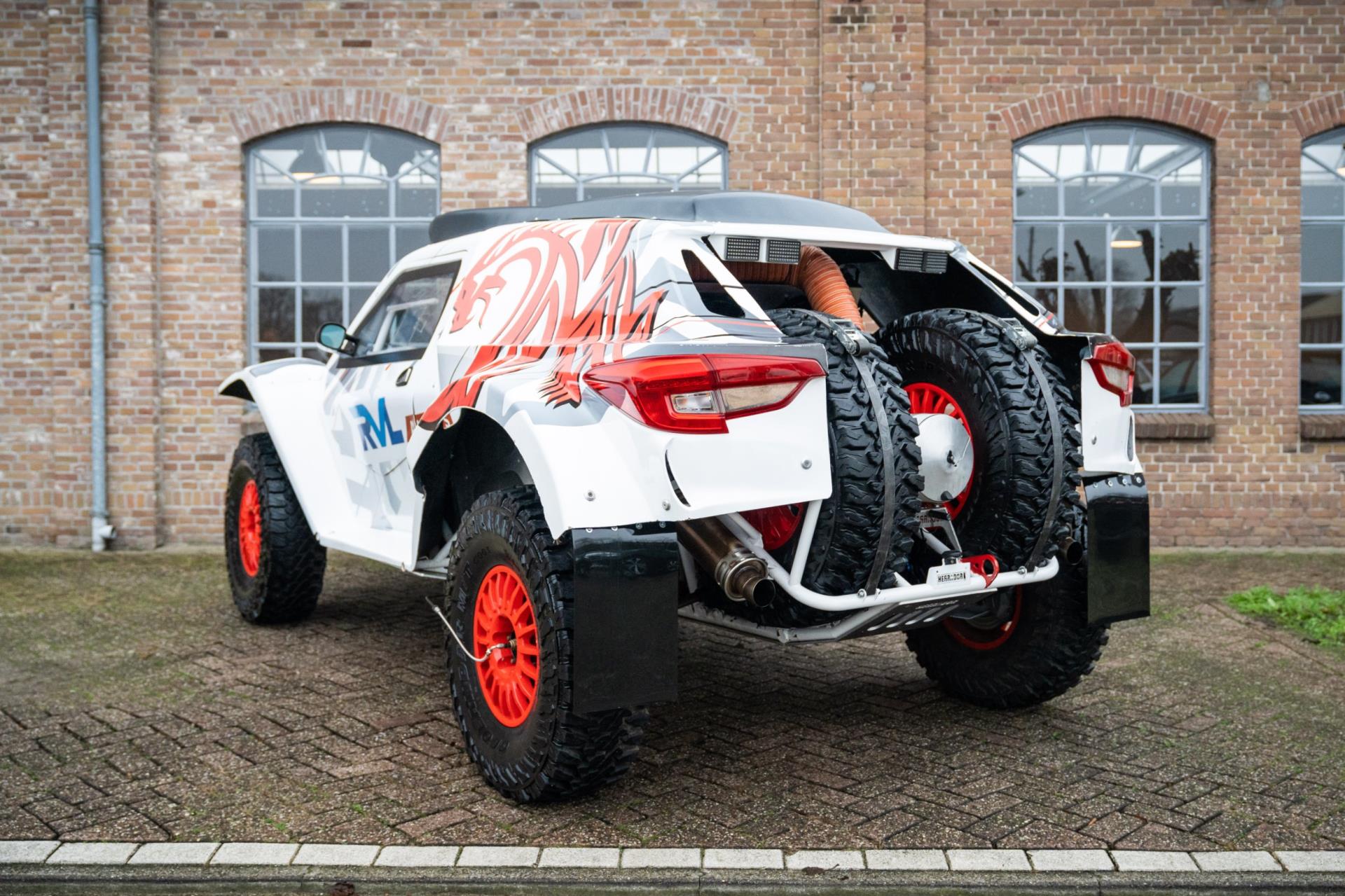 herrador-buggy-image3.jpg