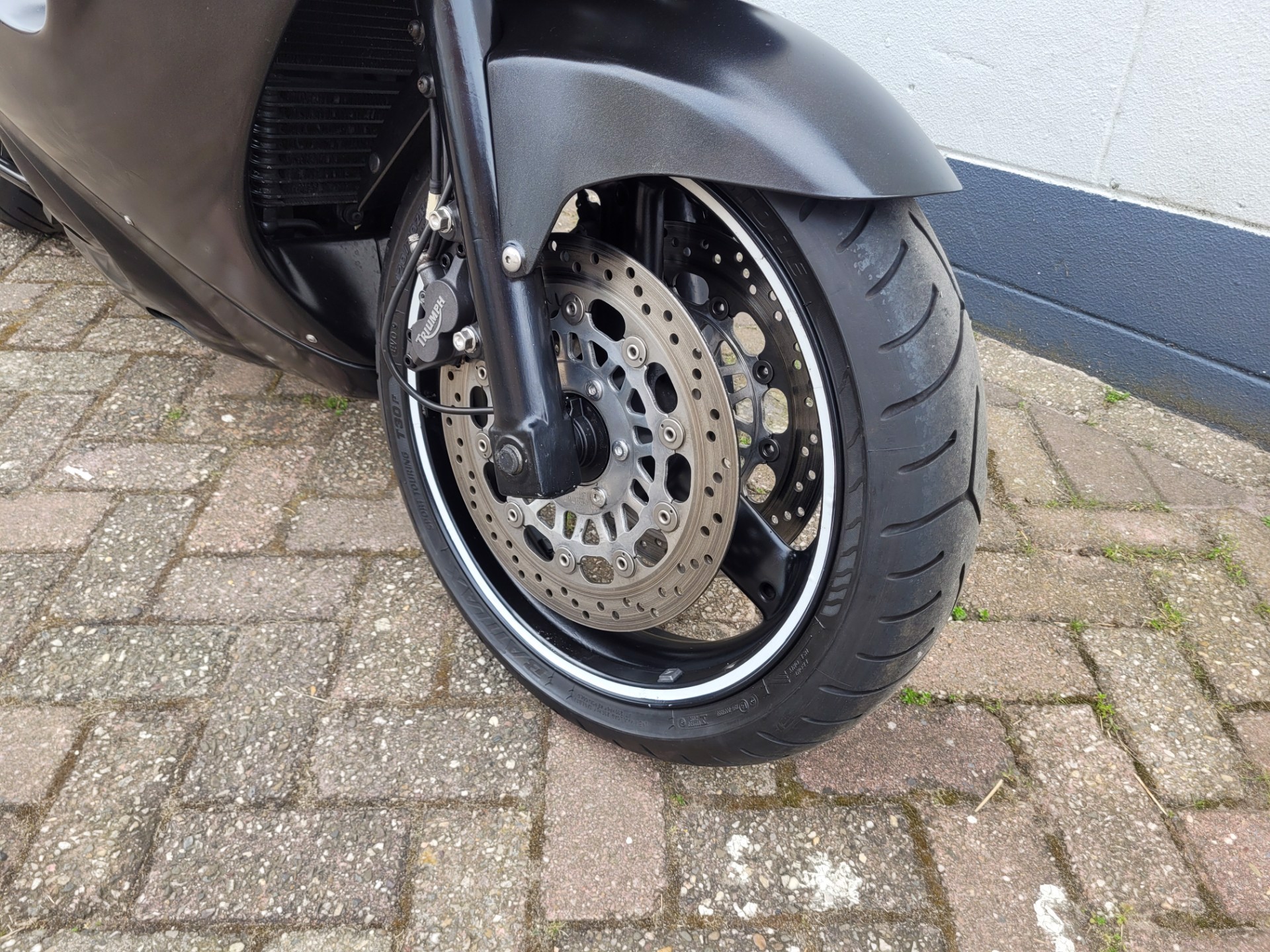 triumph--image3.jpg