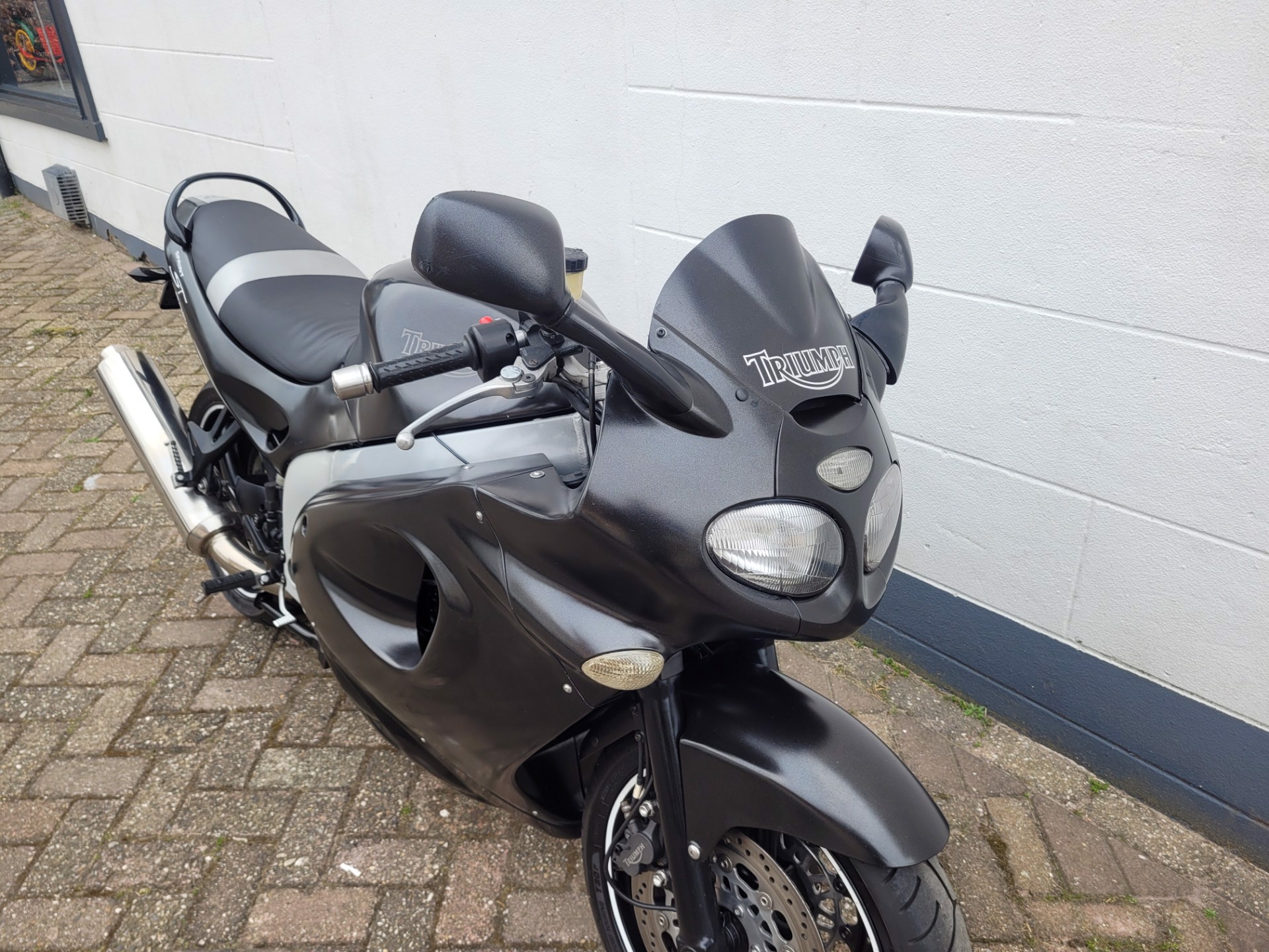 triumph--image4.jpg