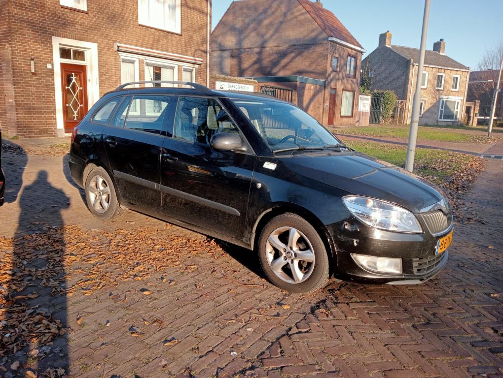 710869600/skoda-fabia-image1.jpg