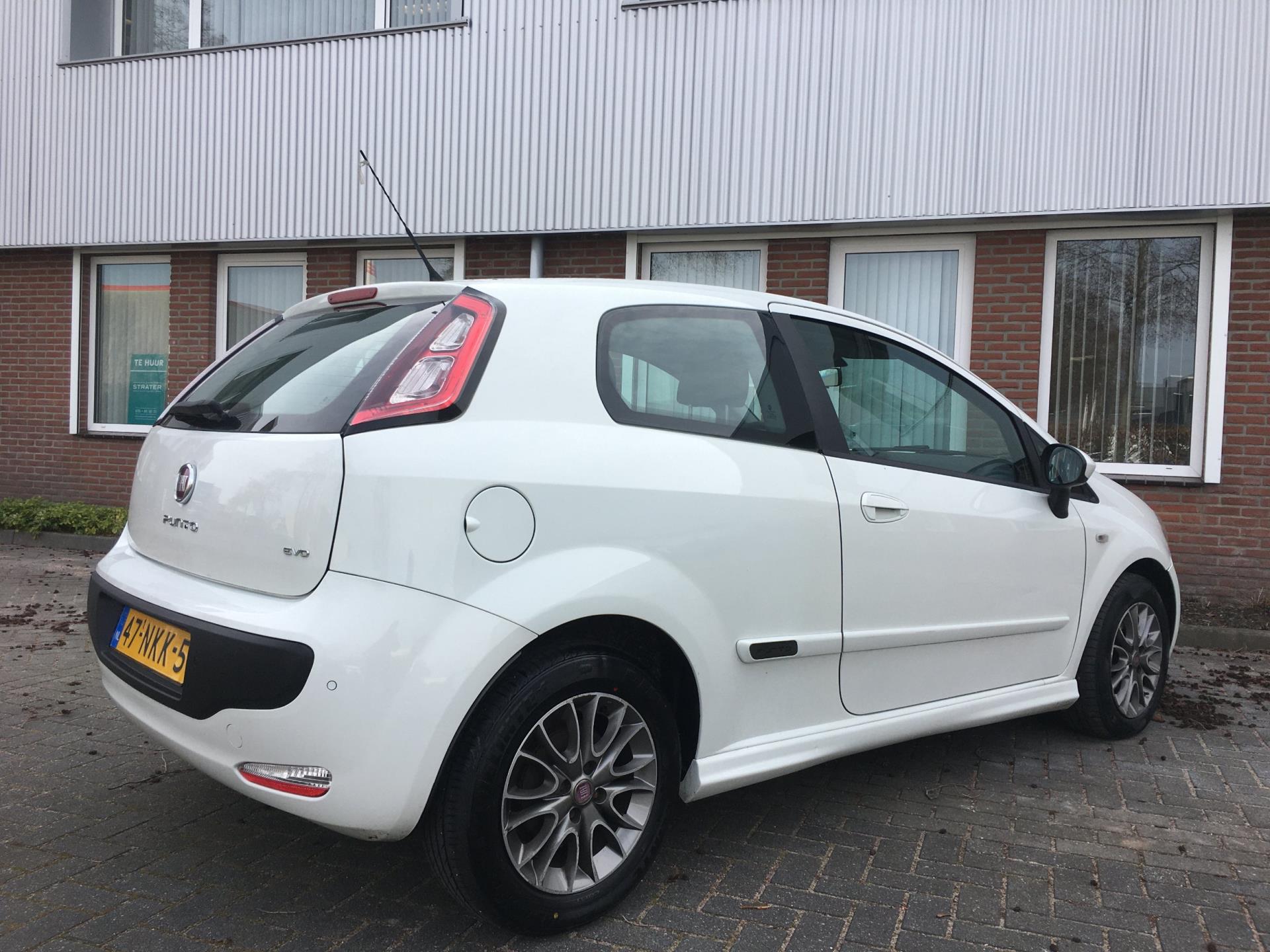 fiat-punto-evo-image4.jpg