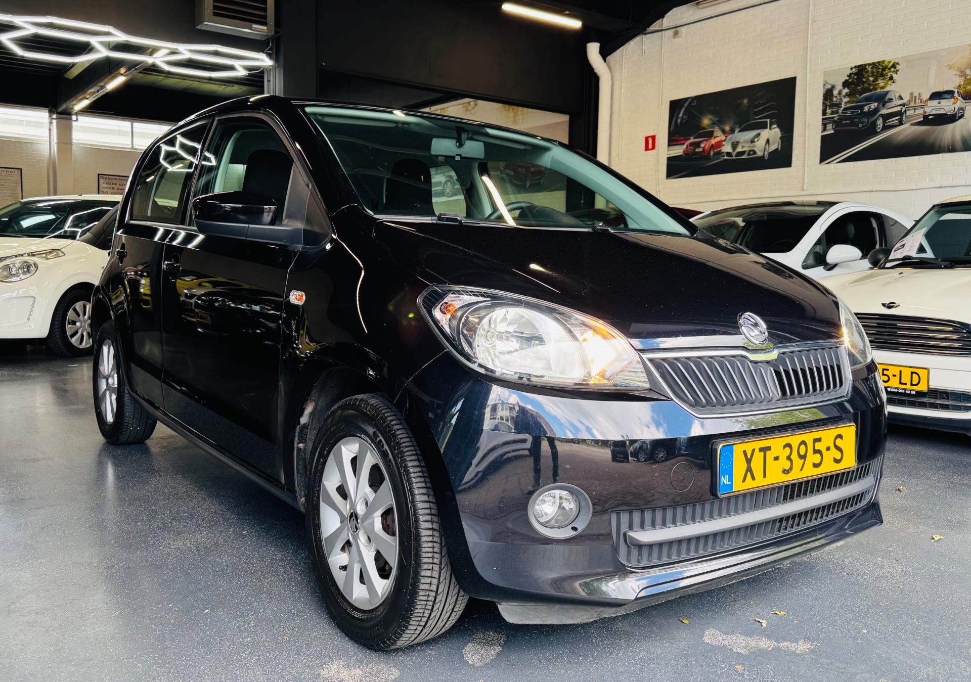 skoda-citigo-image3.jpg
