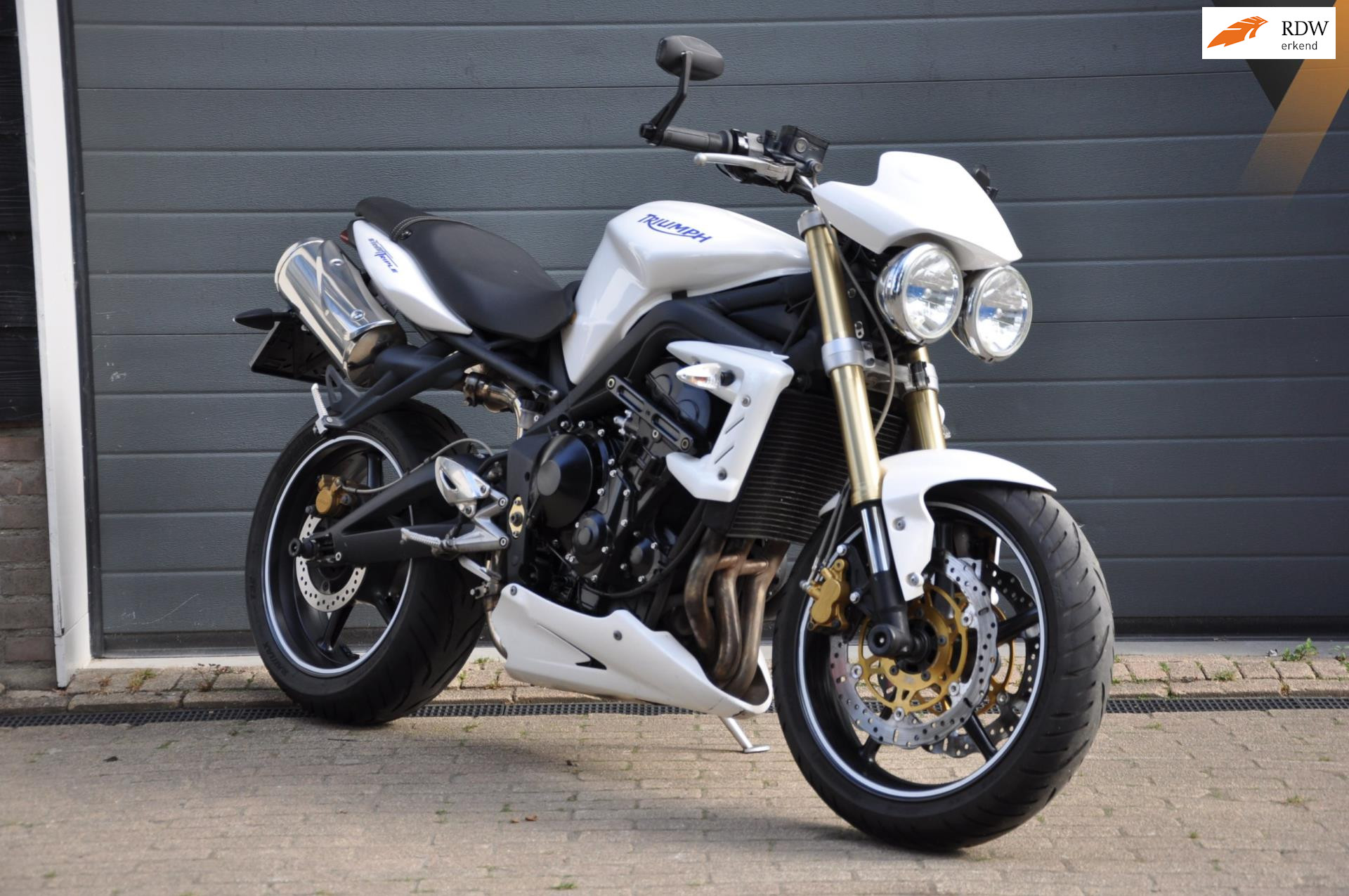780856572/triumph--image1.jpg