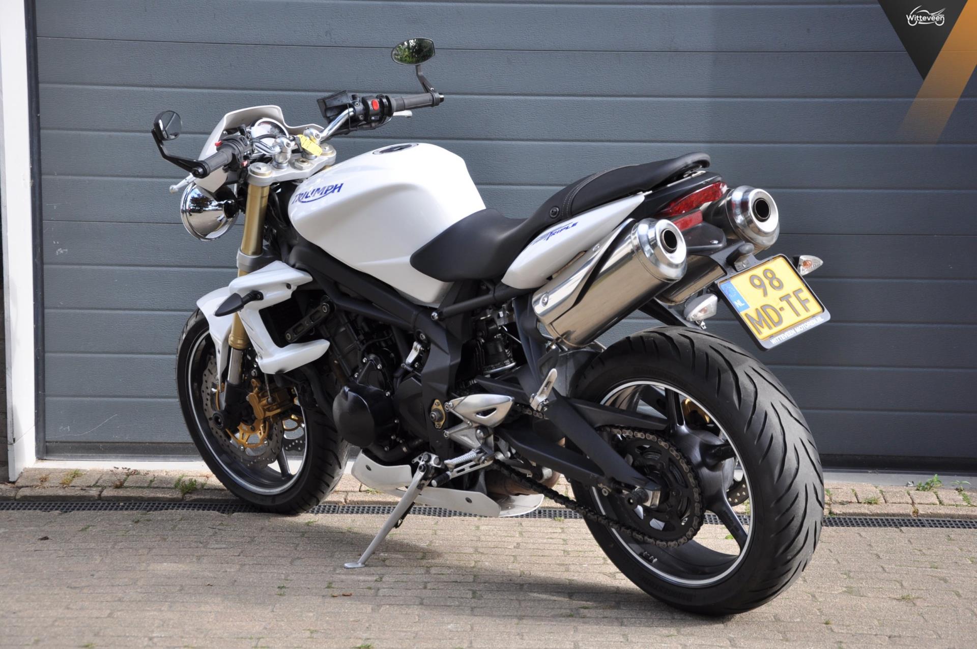 triumph--image4.jpg