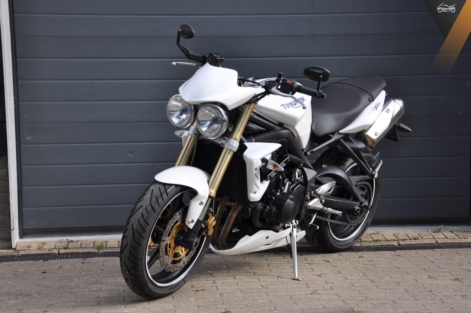triumph--image6.jpg