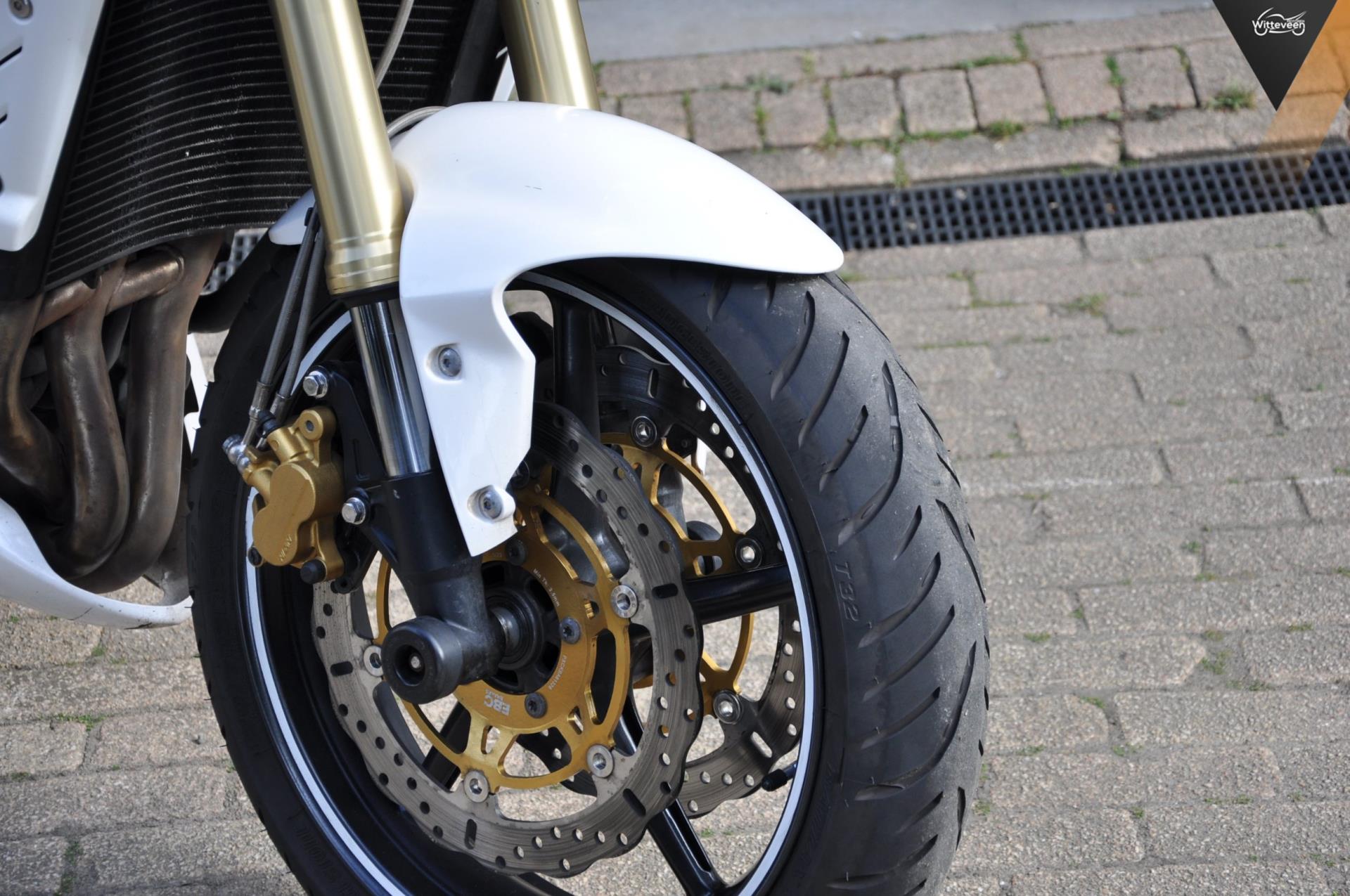 triumph--image7.jpg