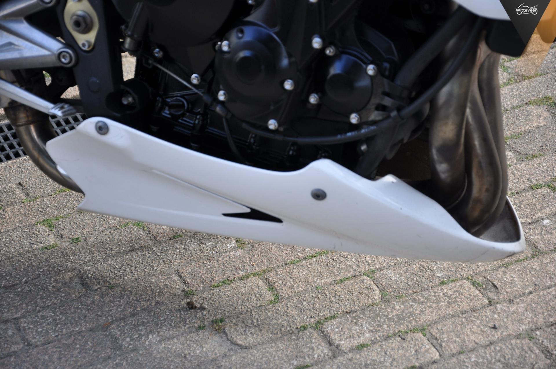 triumph--image9.jpg