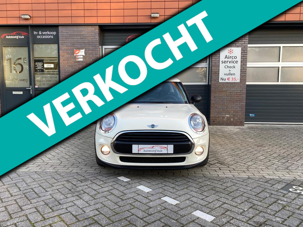 856105995/mini-1.5-image1.jpg