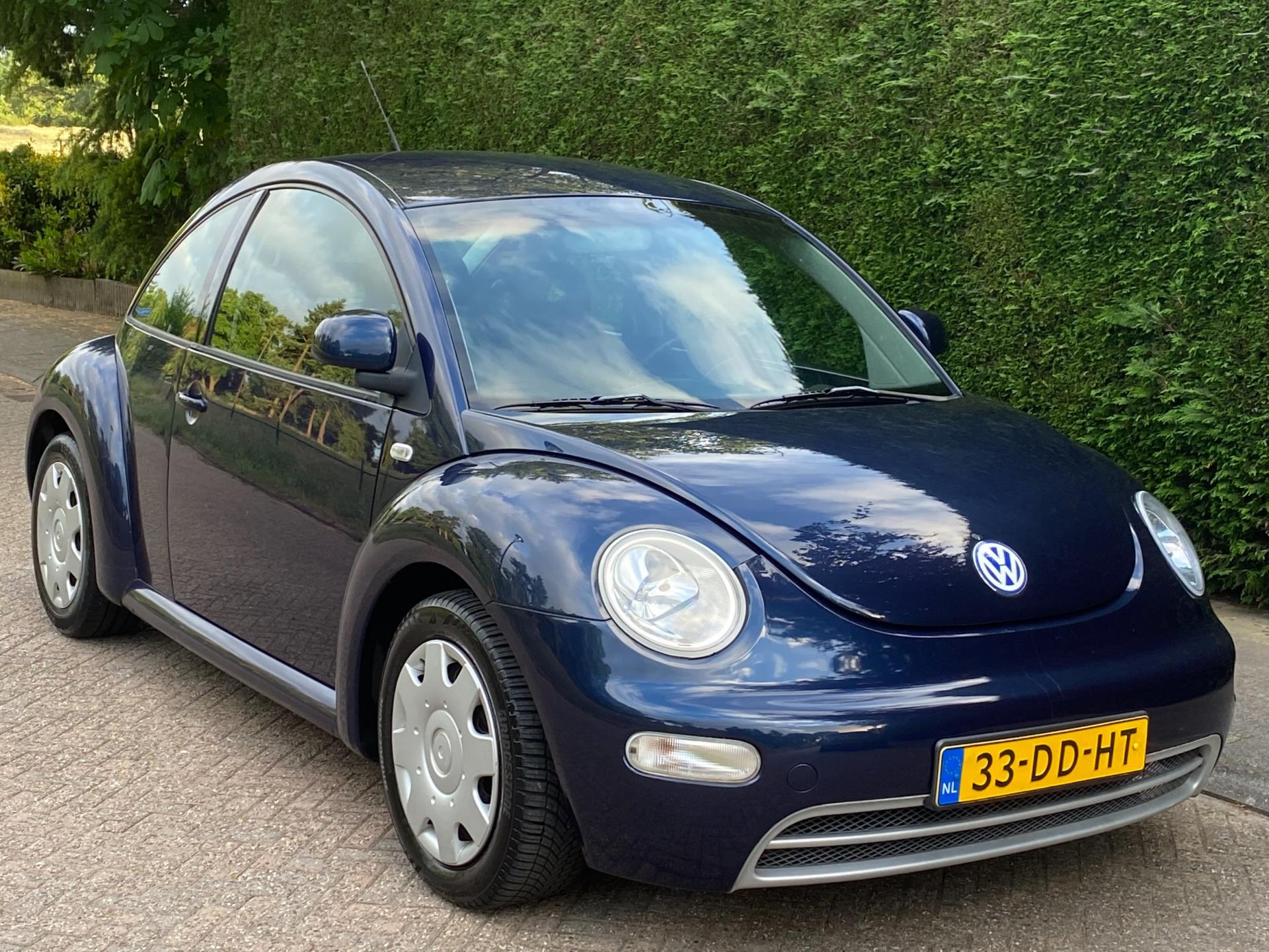 volkswagen-new-beetle-image6.jpg