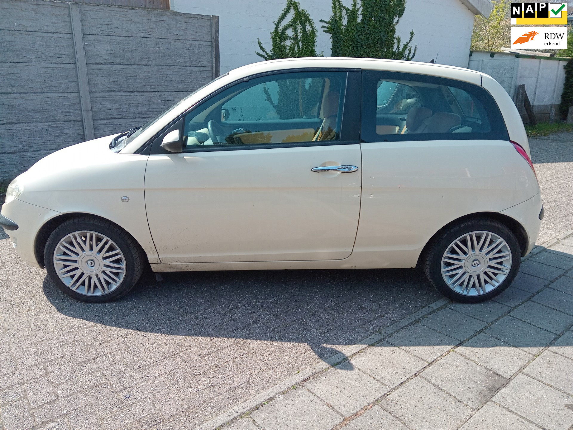 916447503/lancia-ypsilon-image1.jpg