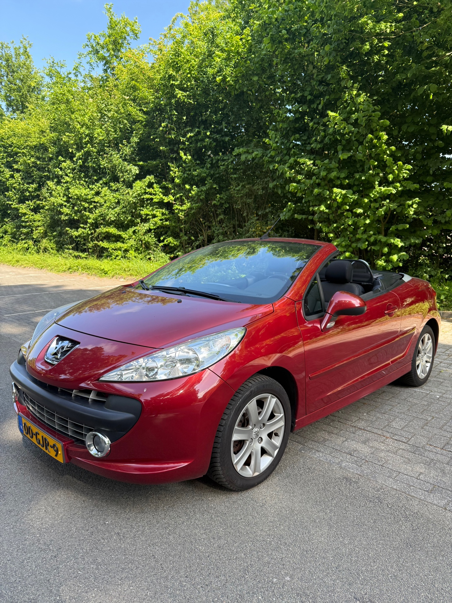 933710565/peugeot-207-image1.jpg