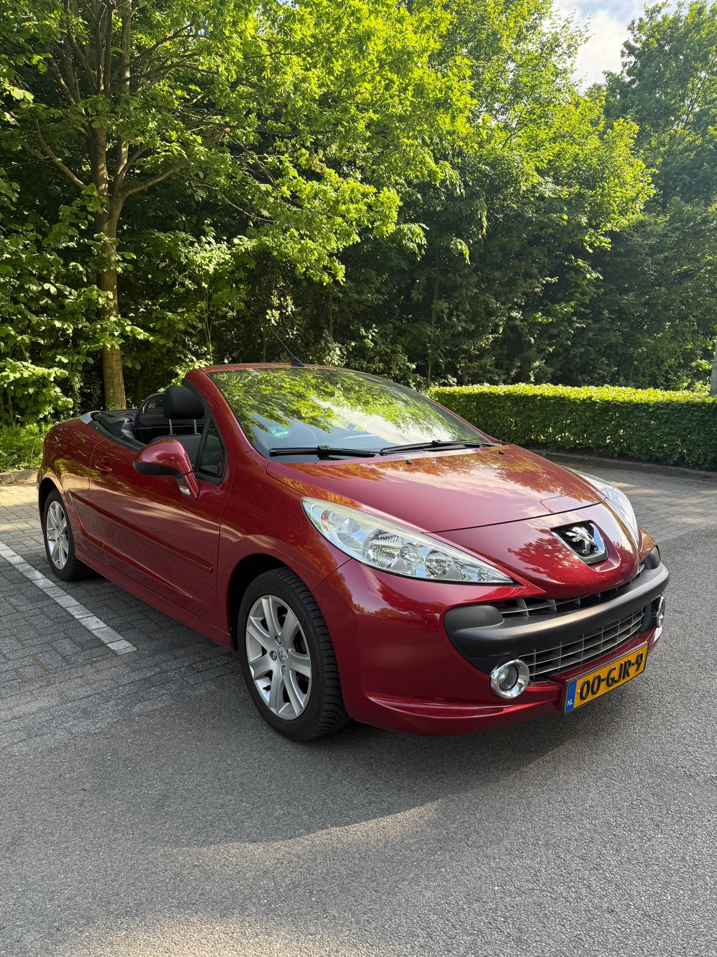 peugeot-207-image2.jpg