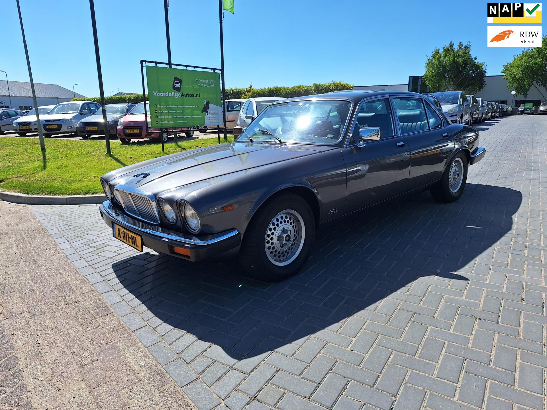 987642242/jaguar-sovereign-image1.jpg