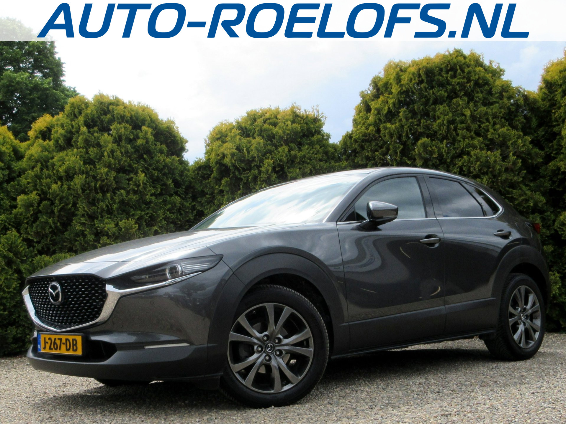 Mazda CX-30 2.0 e-SkyActiv-X M Hybrid Luxury * Trekhaak *