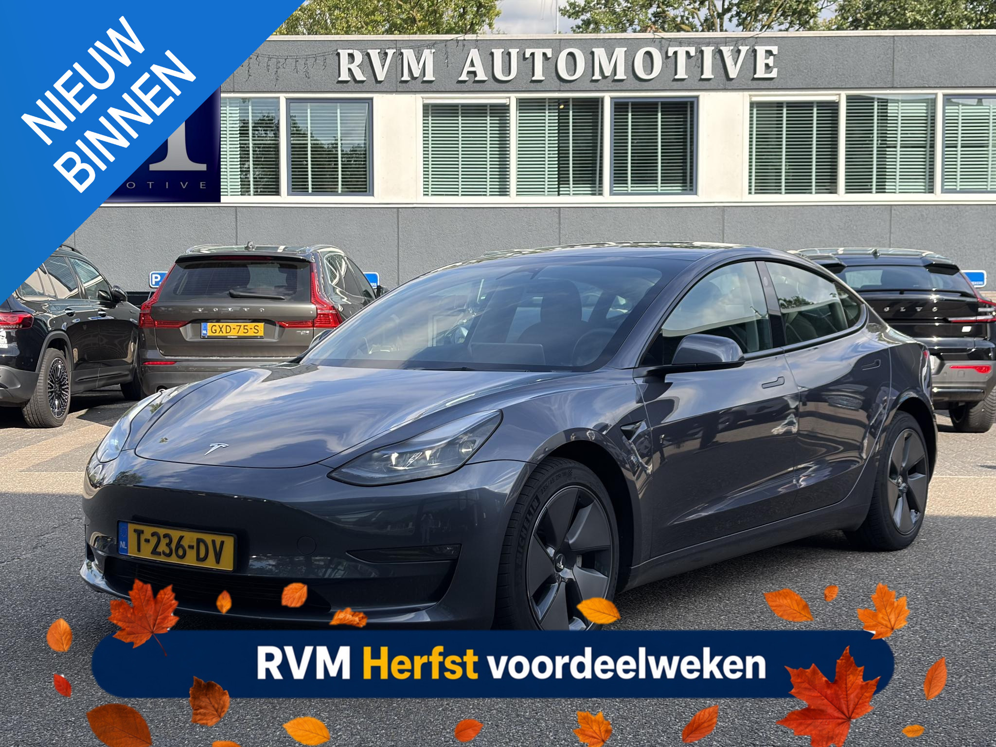Tesla Model 3 Long Range AWD 75 kWh