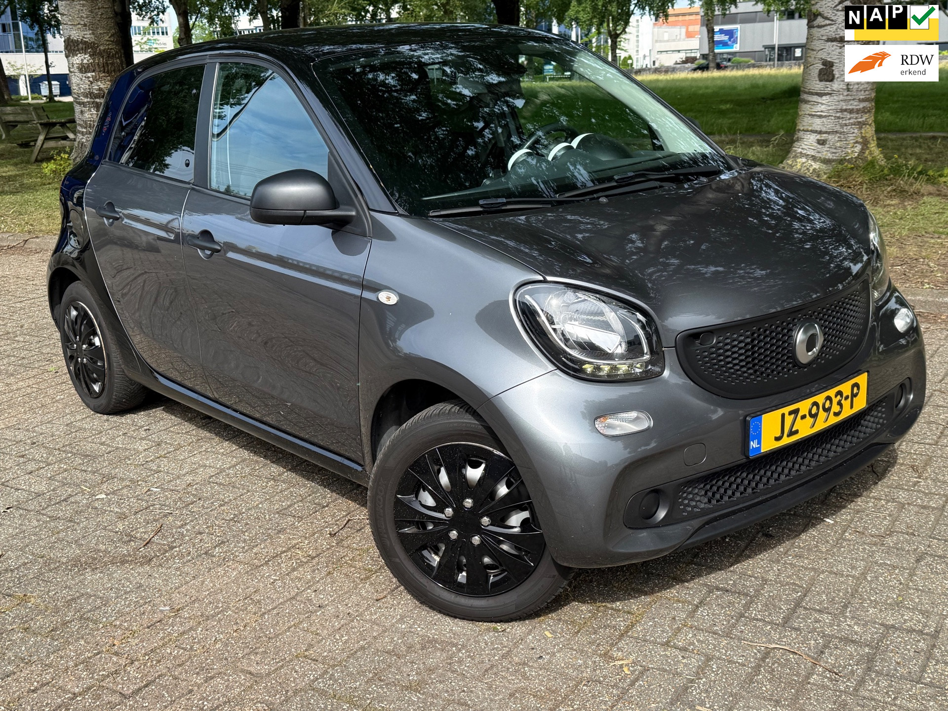 Smart Forfour 1.0 Pure