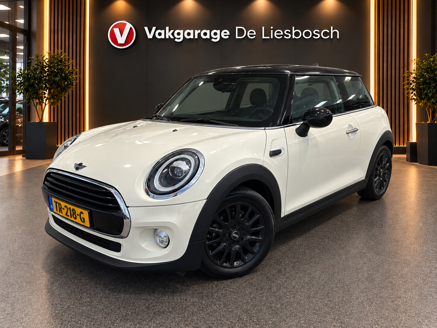 MINI 3-deurs 1.5 Cooper Chili/navi/pdc/cruisec/boeken/sportstoelen//clima/
