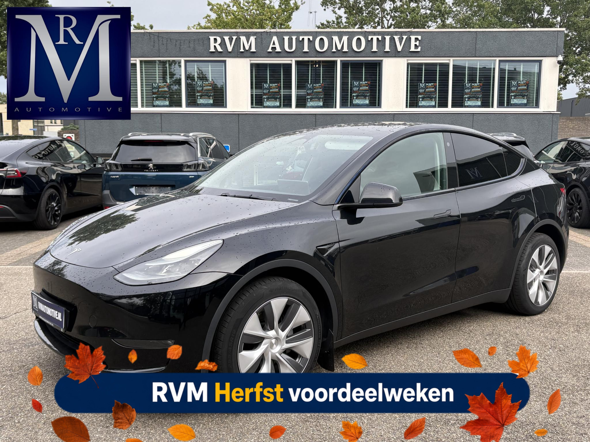 Tesla Model Y Long Range AWD 75 kWh