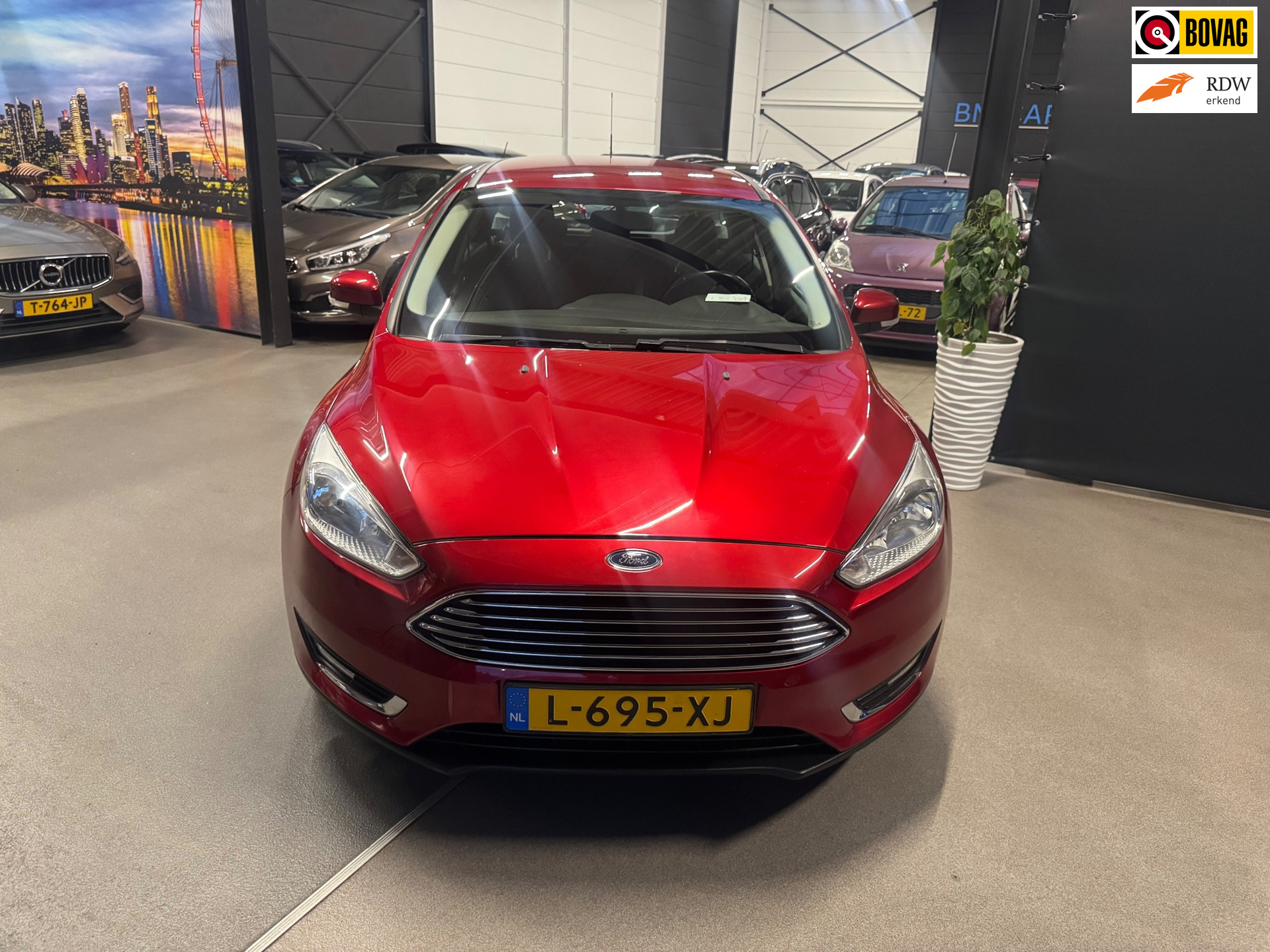 Ford FOCUS Wagon 1.0 First Edition Airco,Trekhaak,Cruise