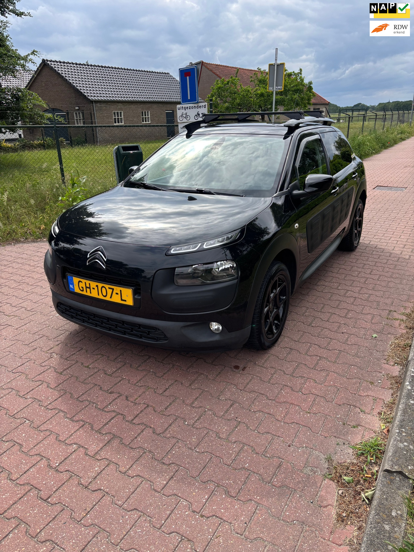 Citroën C4 Cactus 1.2 PureTech Shine NWE APK DIST RIEM EN REMMEN!