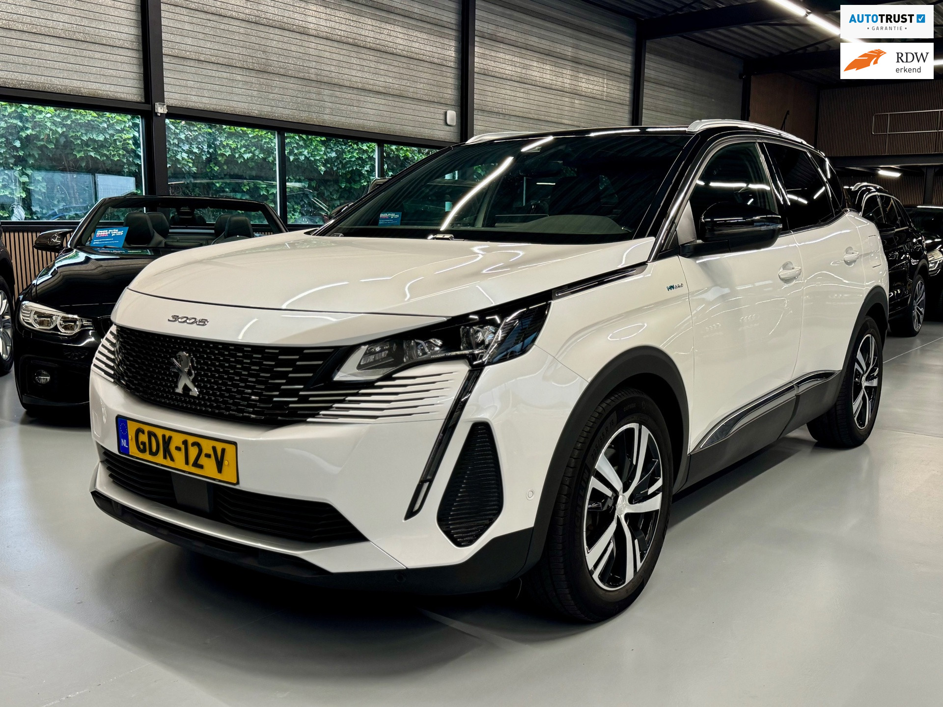 Peugeot 3008 1.6 HYbrid 225 GT Pano/Camera/Parelmoer