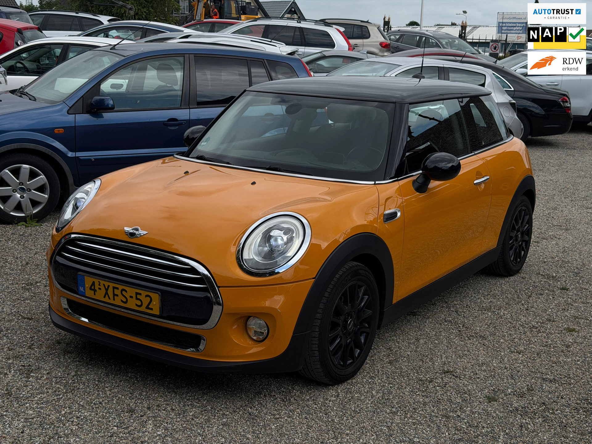 MINI 3-deurs 1.5 Cooper First Born Edition Vol Optie Automaat Headsup Leer Camera Clima Cruise