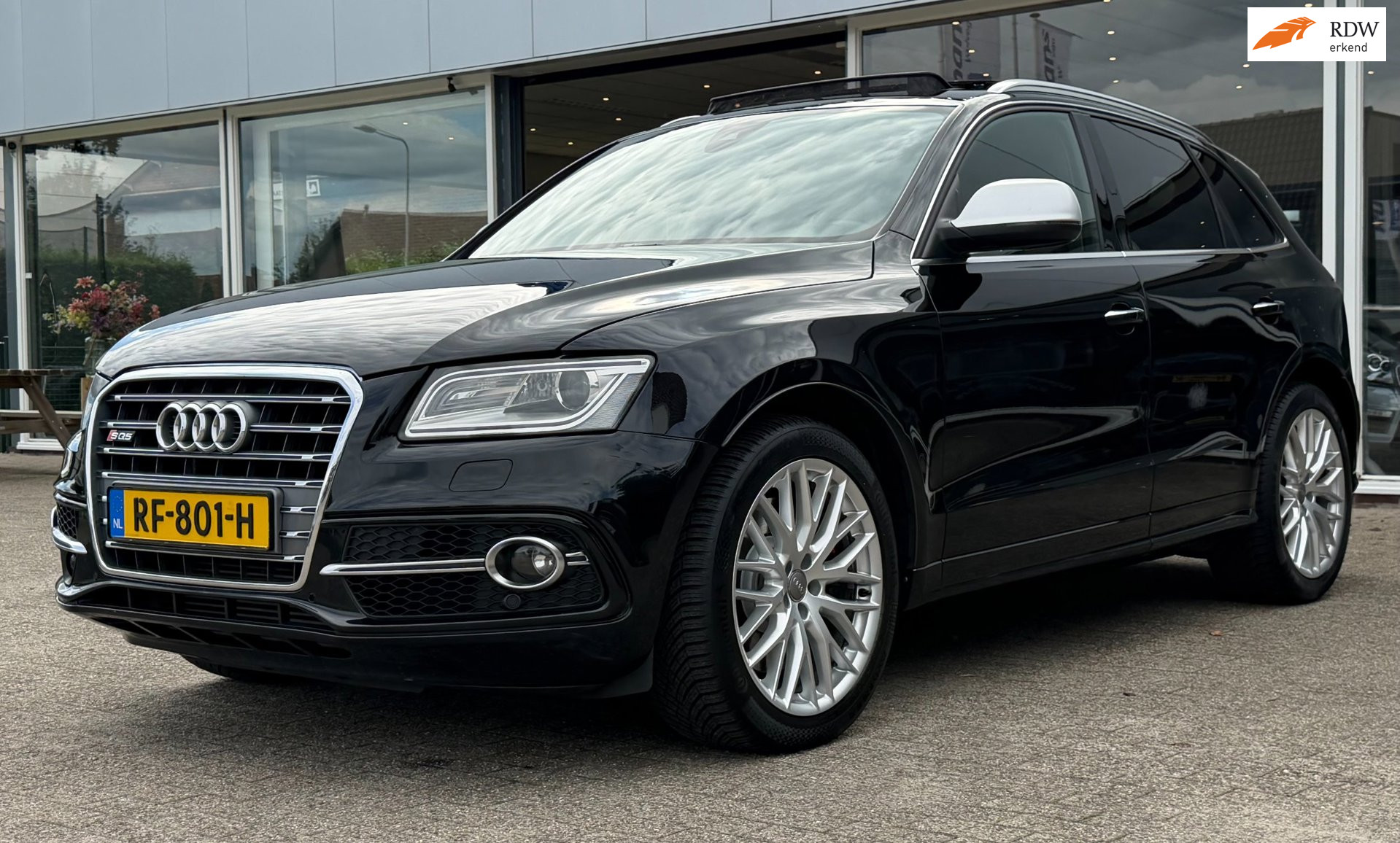 Audi Q5 3.0 TDI SQ5 quattro Pro Line /PANO / TREKHAAK / B&O