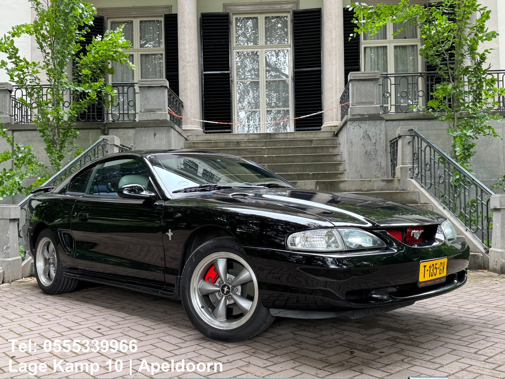 Ford Mustang GT 4.6L V8 Automaat Perfecte Staat Leder Airco Camera Carplay