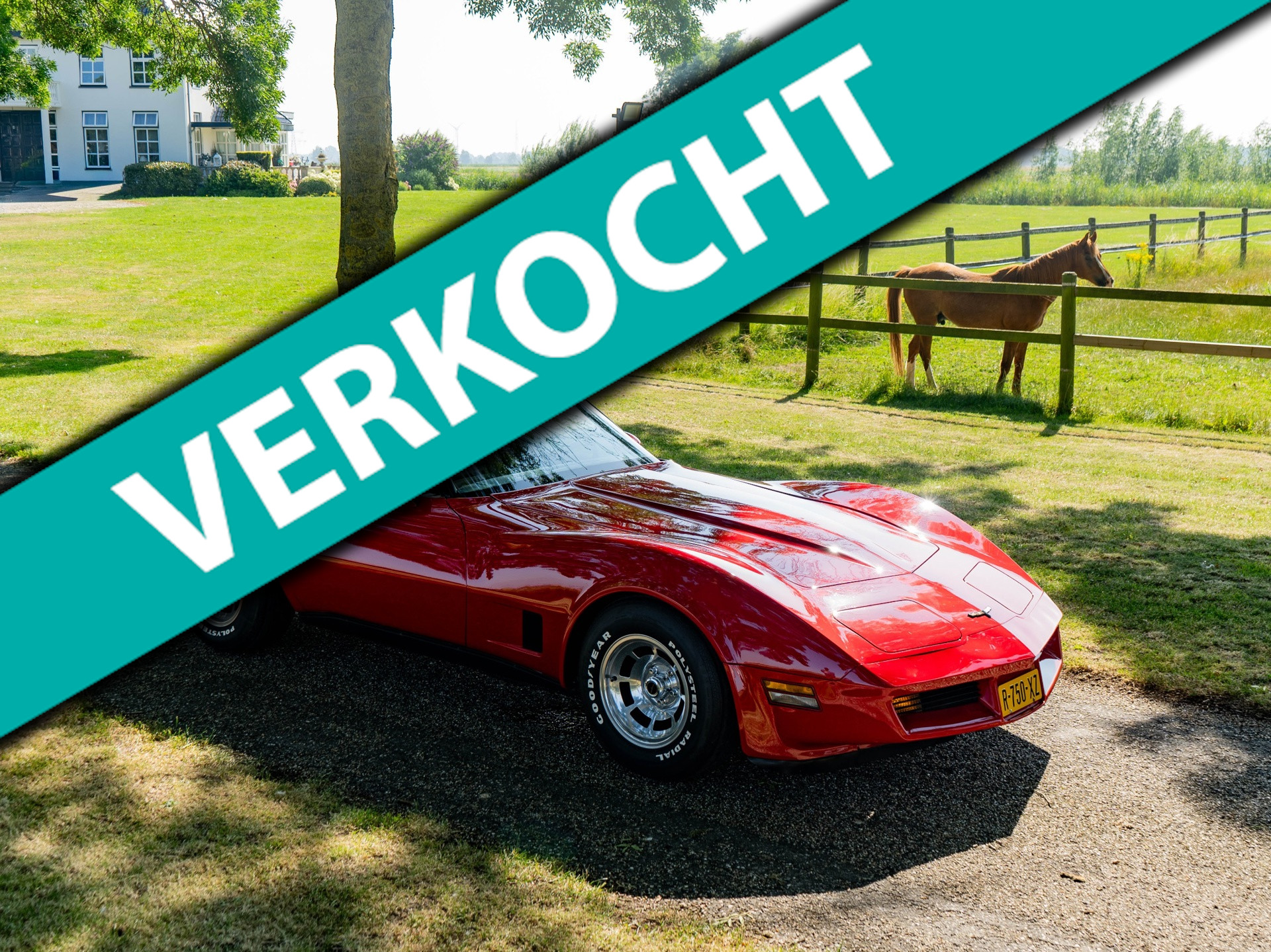 Chevrolet Corvette T-Roof/Targa 1 YZ 87
