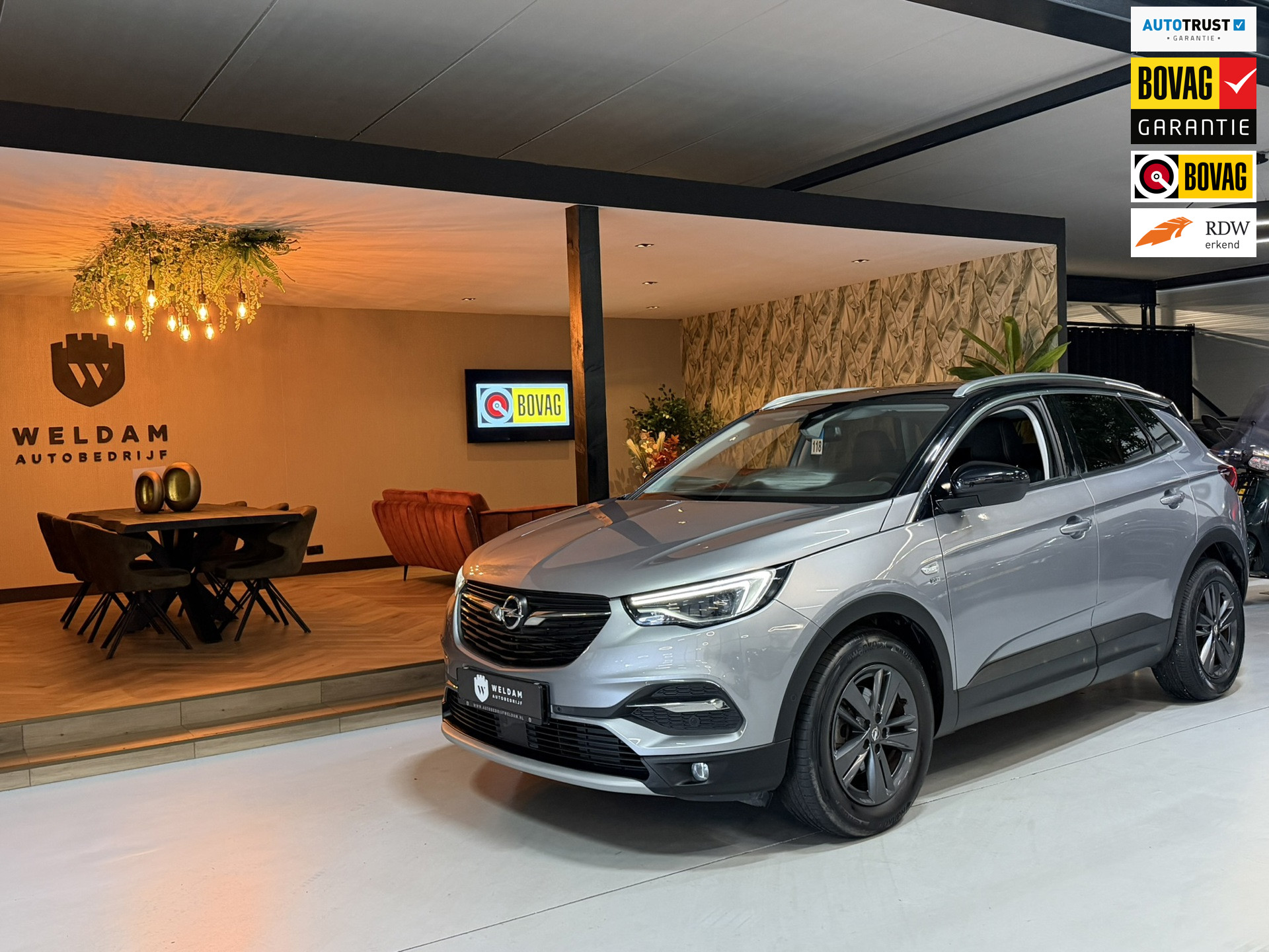 Opel Grandland X 1.2 Turbo 120 Jaar Edition|Garantie|Nieuwe Distributieriem|LED|Navi|CarPlay|PDC|Climate|Rijklaar