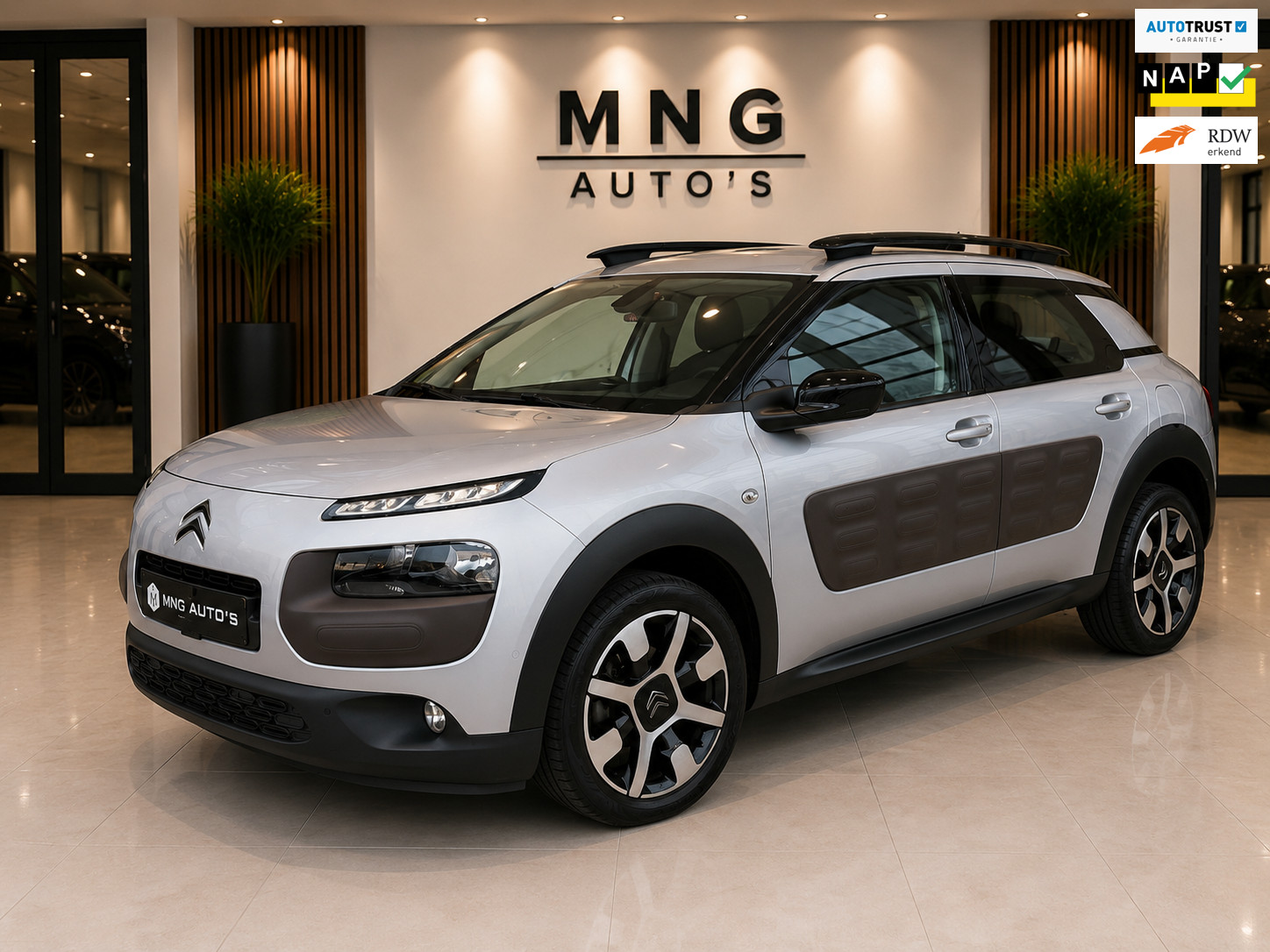 Citroën C4 Cactus 1.2|PANO|Camera|St.Verwarming|Parkassist|Vol|