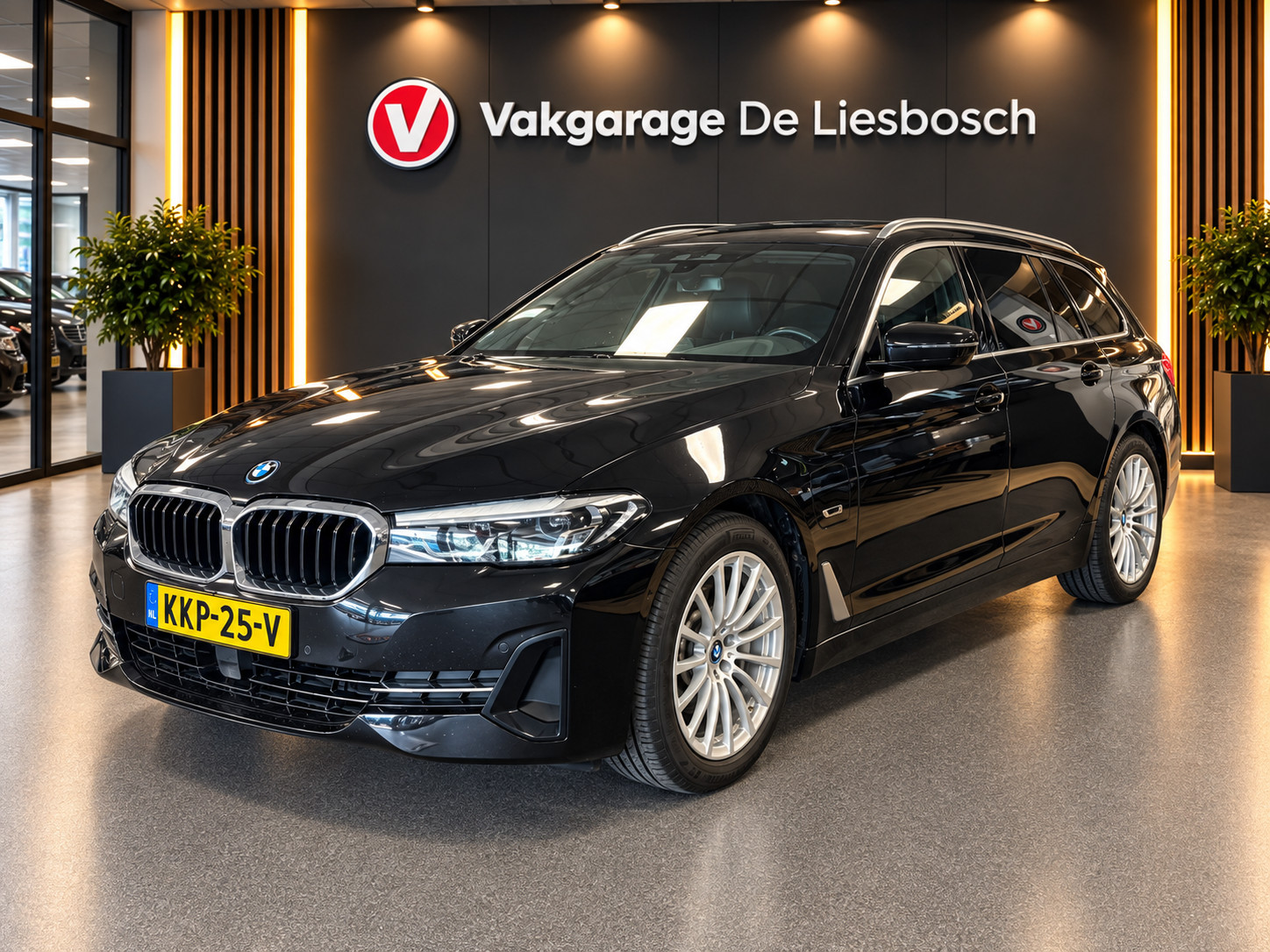 BMW 5 Serie Touring 530e xDrive High Executive/ leer/ pano/ navi/ trekhaak/ apple carplay